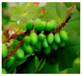 Molecules 28 04856 i010 Molecules 28 04856 i010