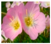 Molecules 28 04856 i013 Molecules 28 04856 i013