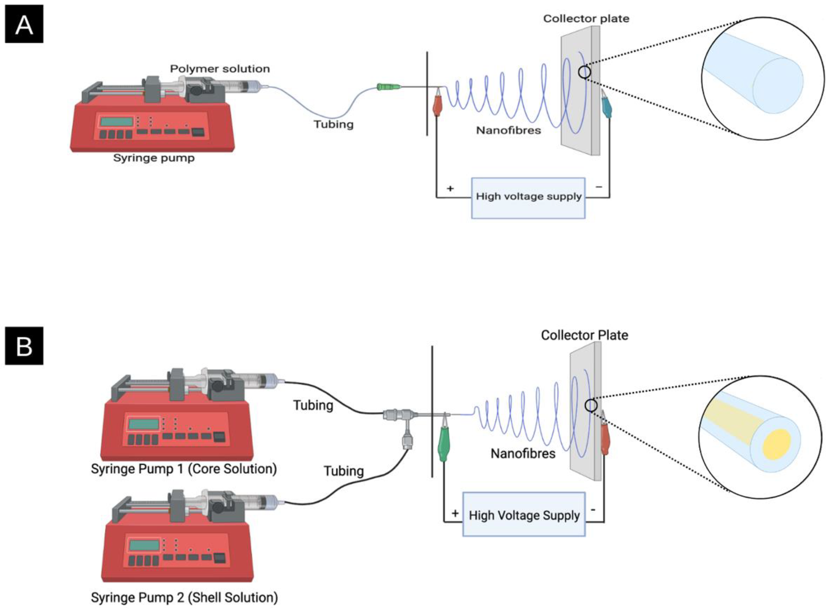 Molecules 28 04857 g001