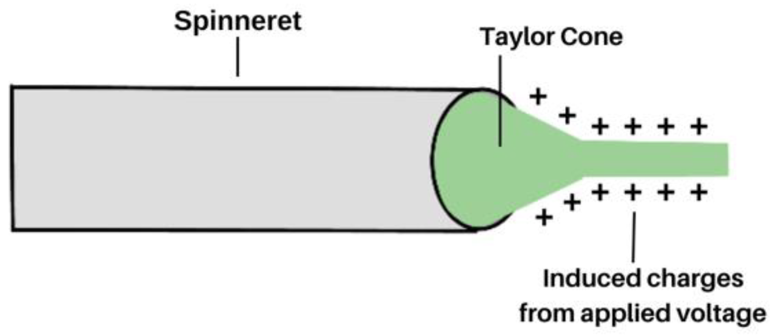 Molecules 28 04857 g002