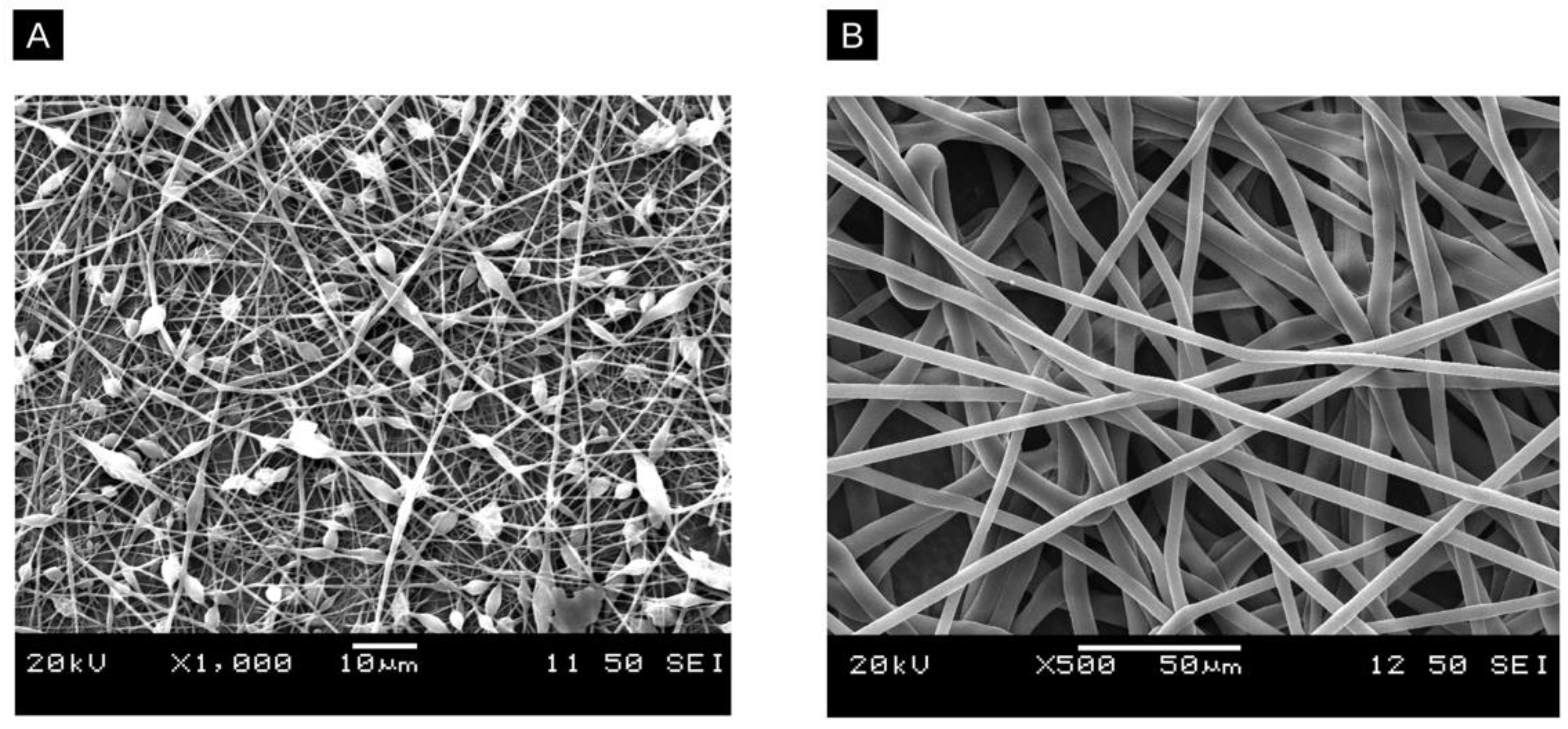 Molecules 28 04857 g005