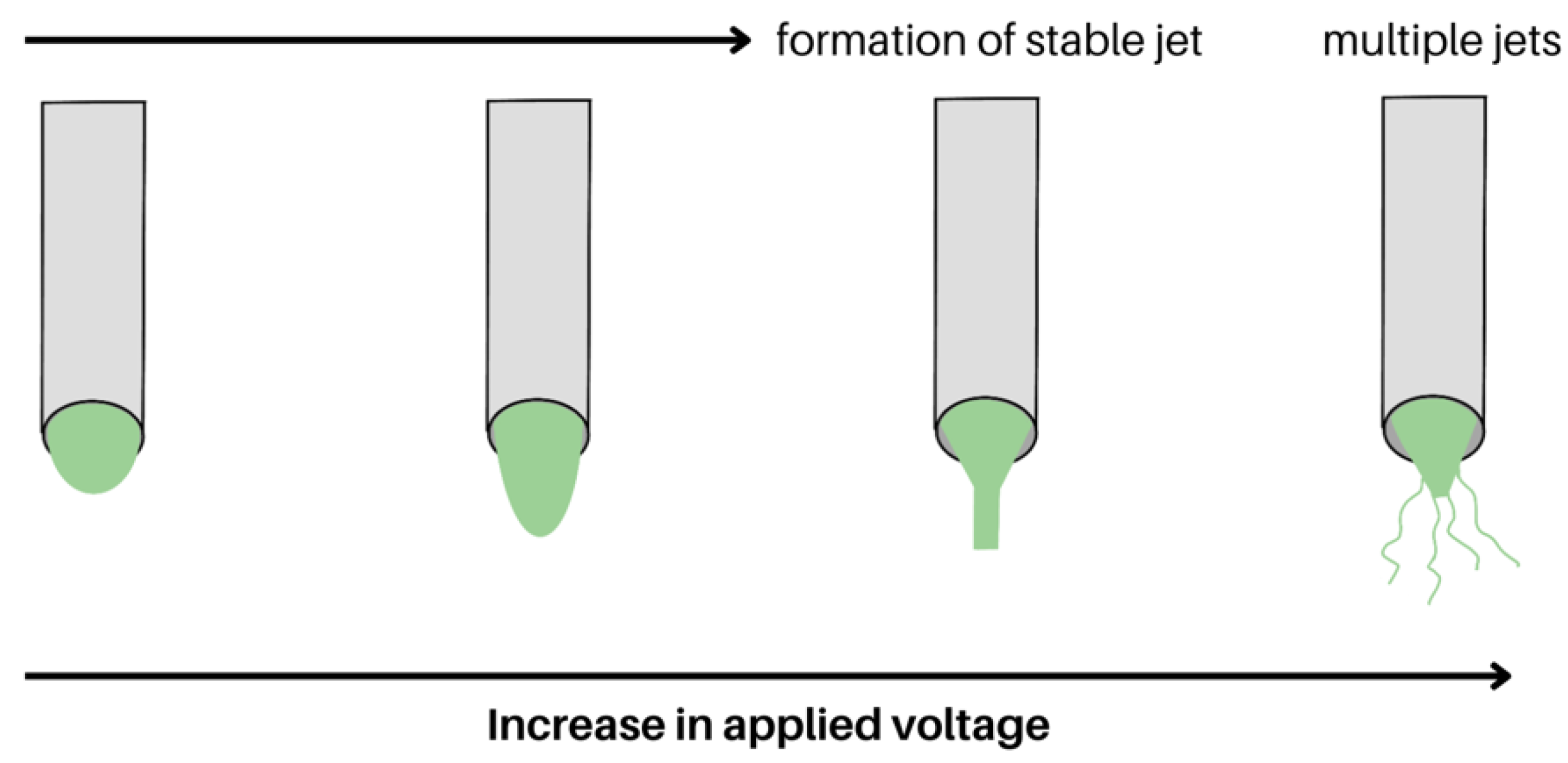 Molecules 28 04857 g006