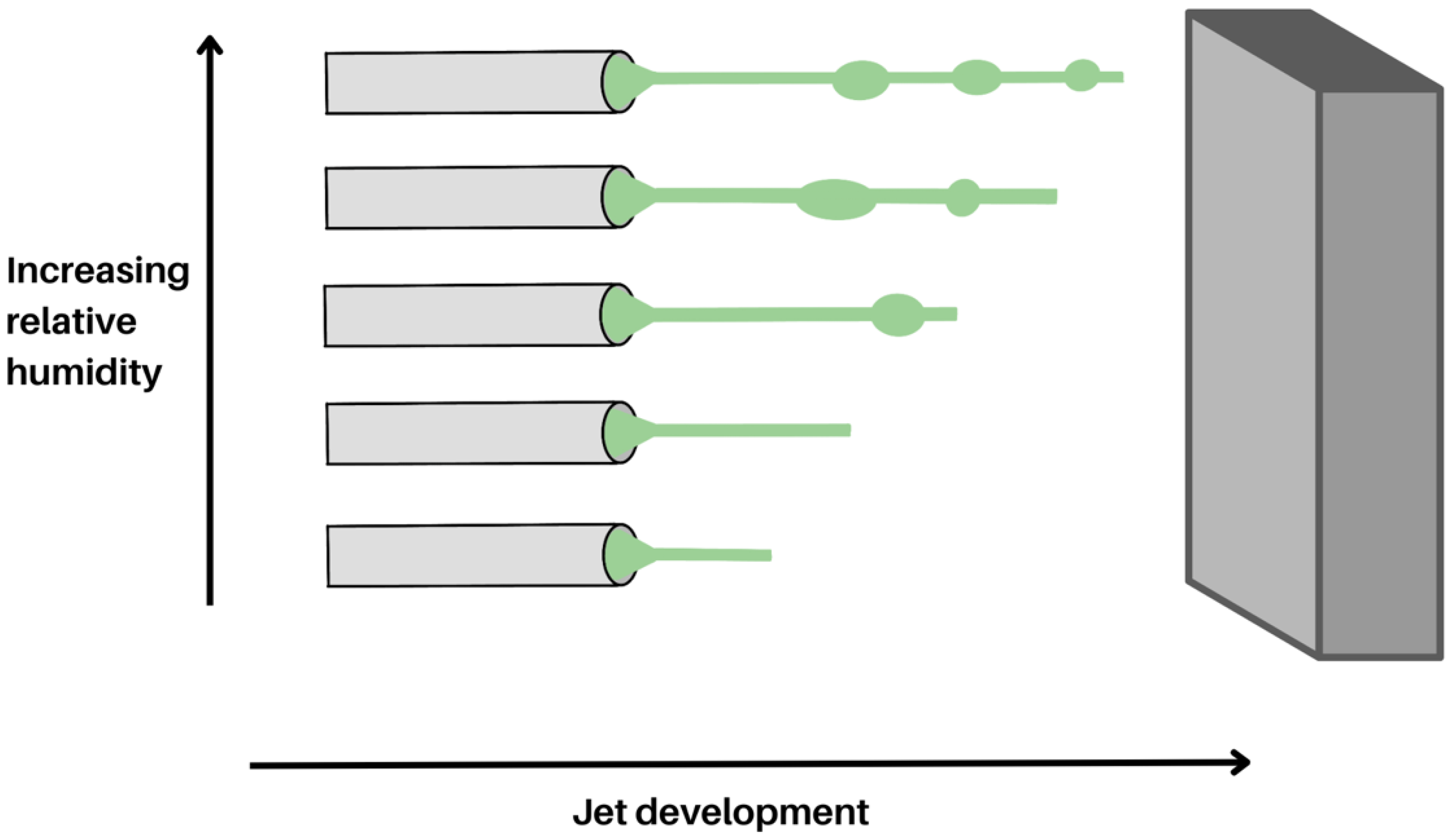 Molecules 28 04857 g008