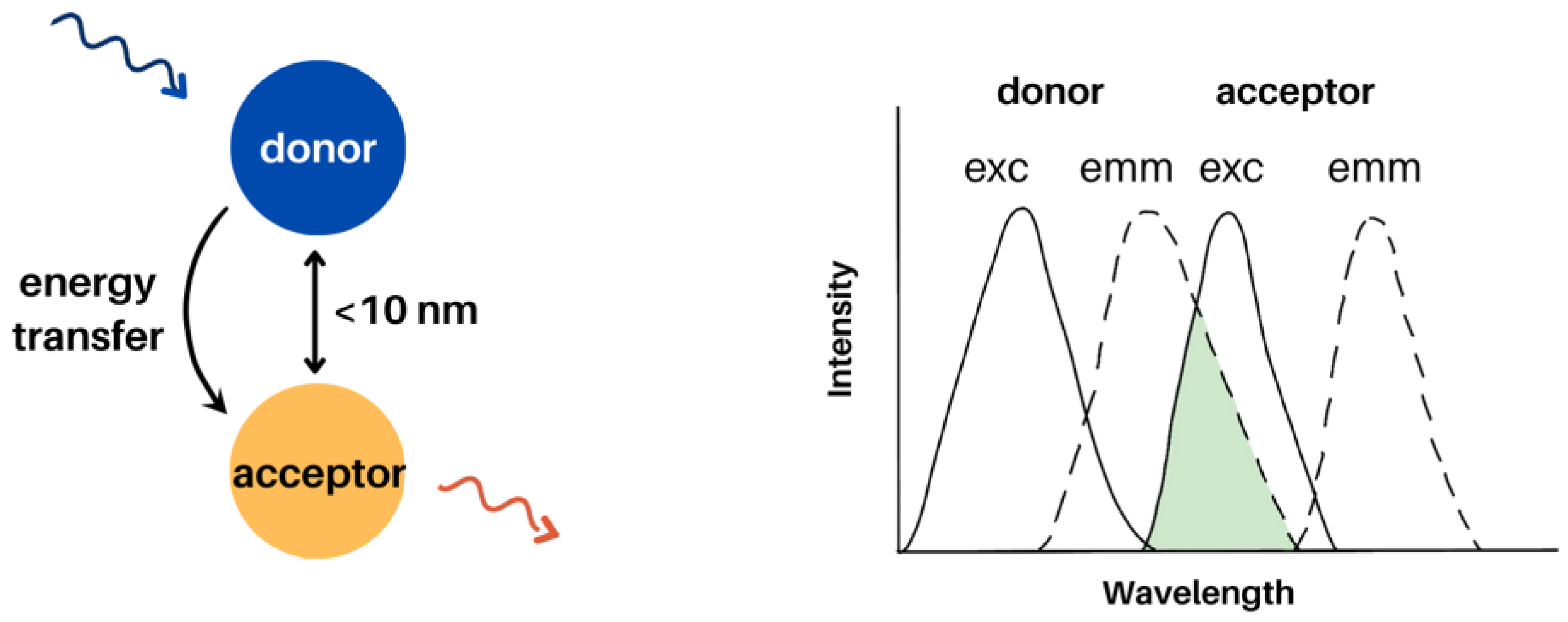 Molecules 28 04857 g011