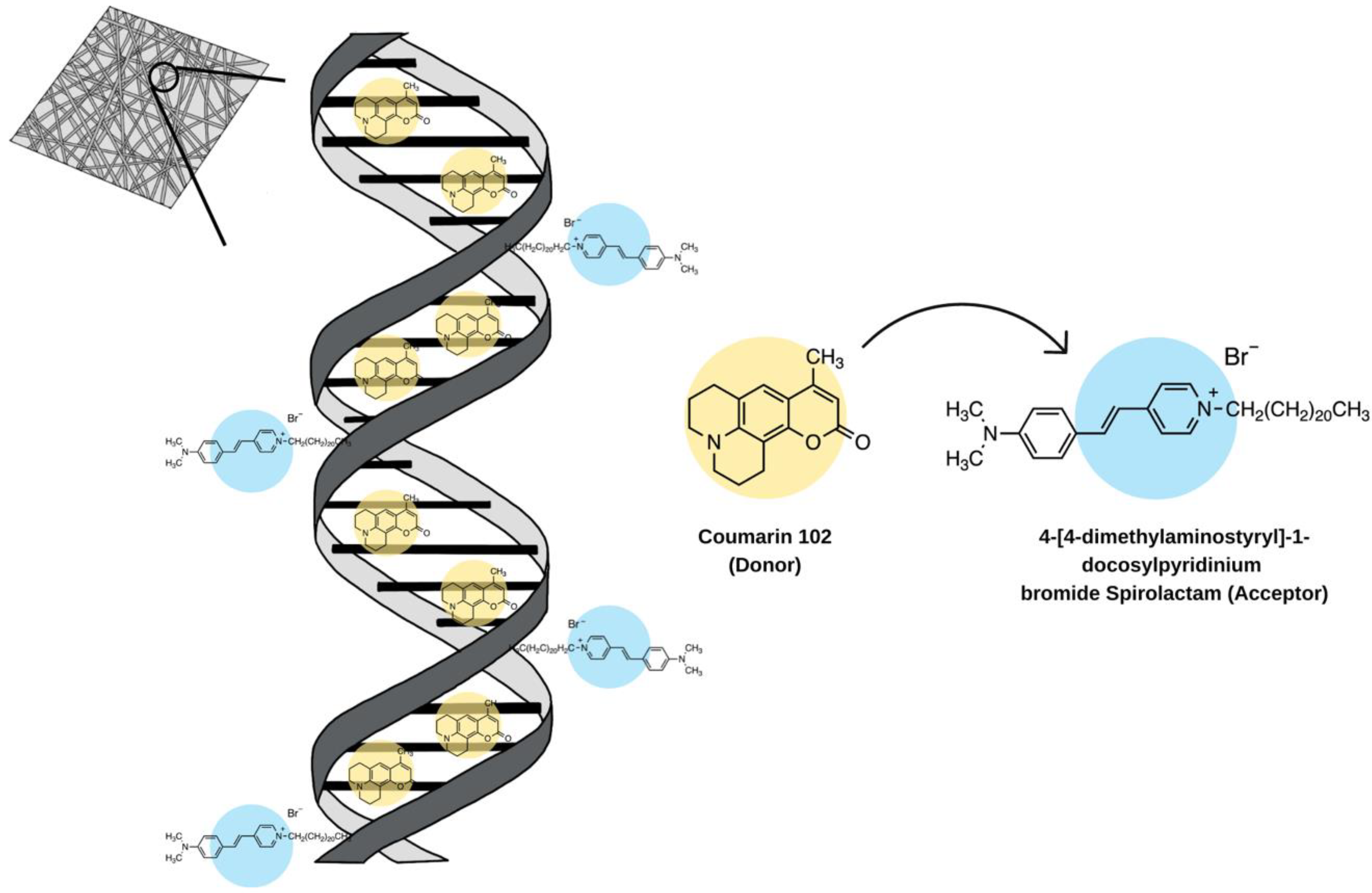 Molecules 28 04857 g013