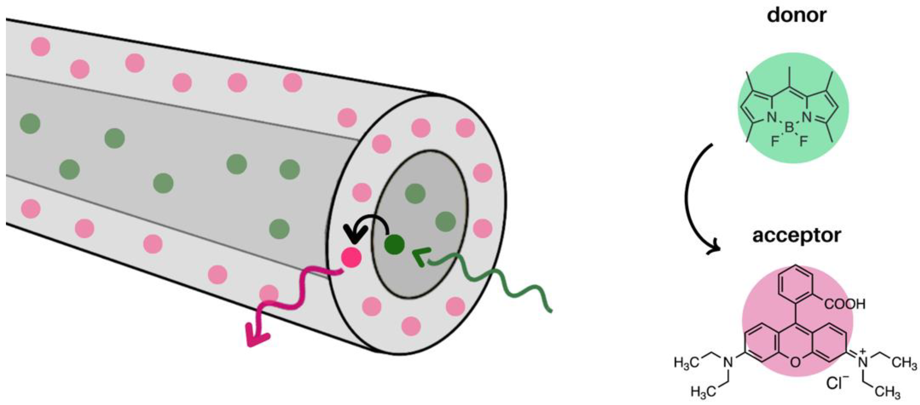 Molecules 28 04857 g016