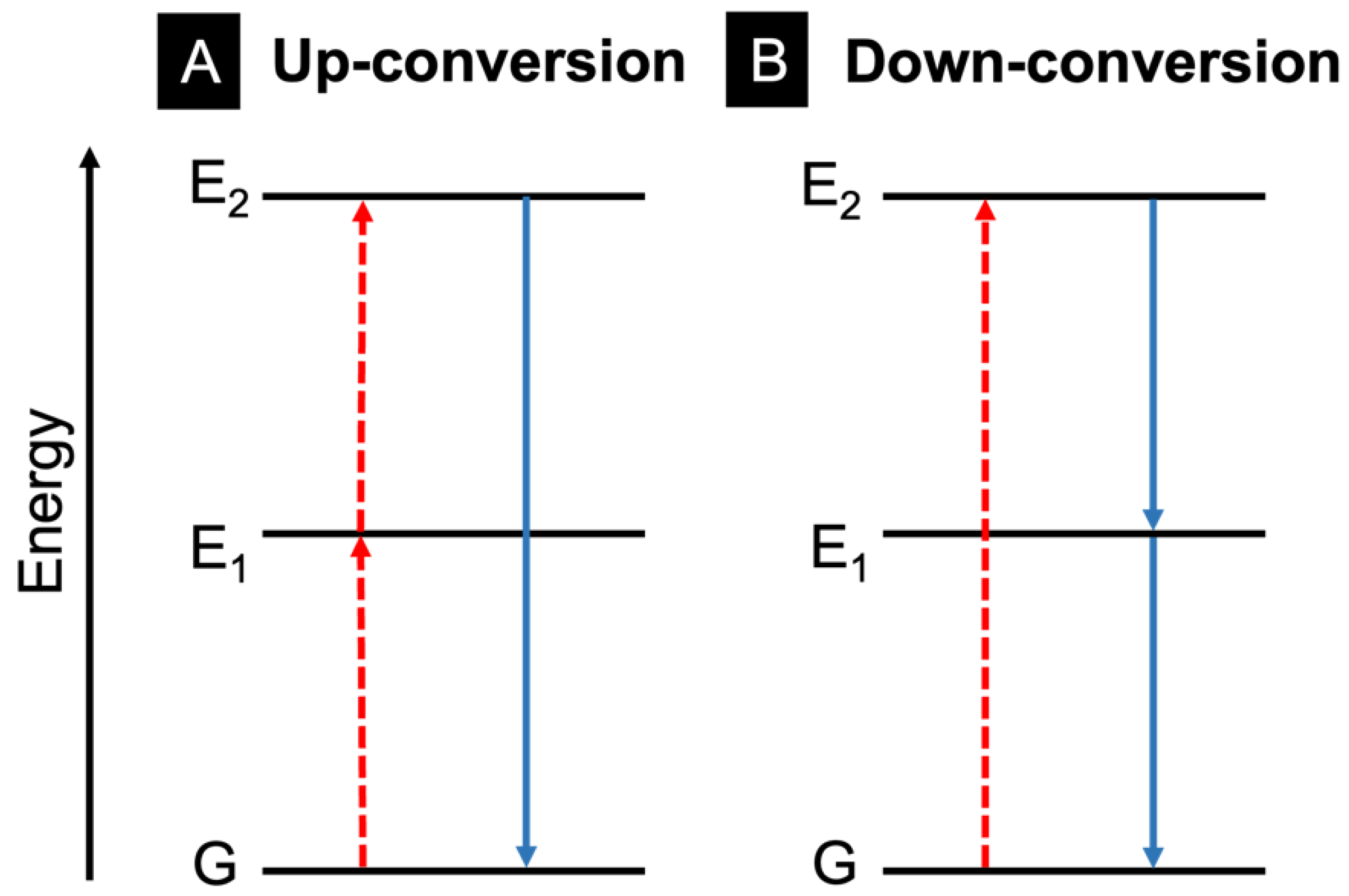 Molecules 28 04857 g021