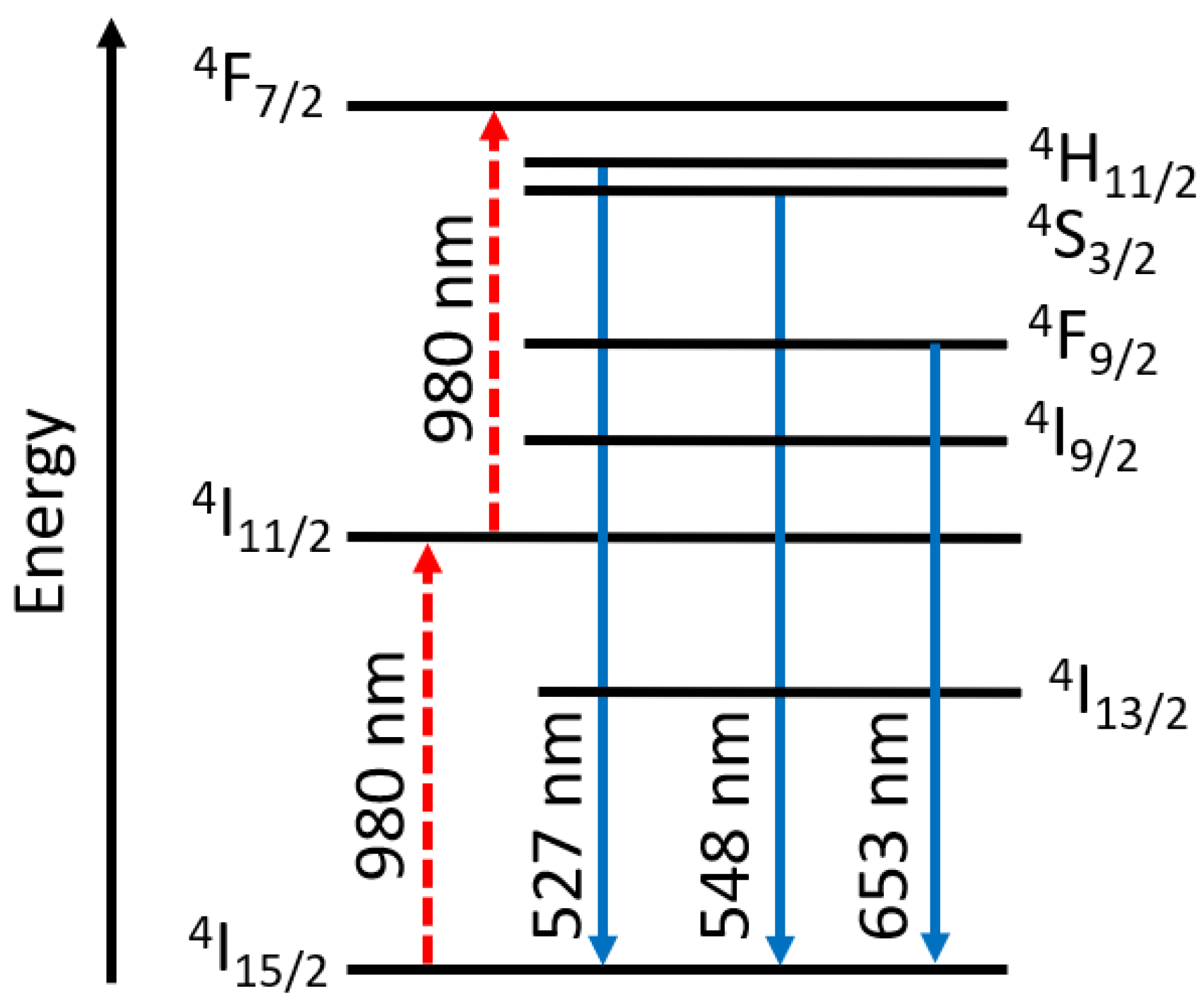 Molecules 28 04857 g023