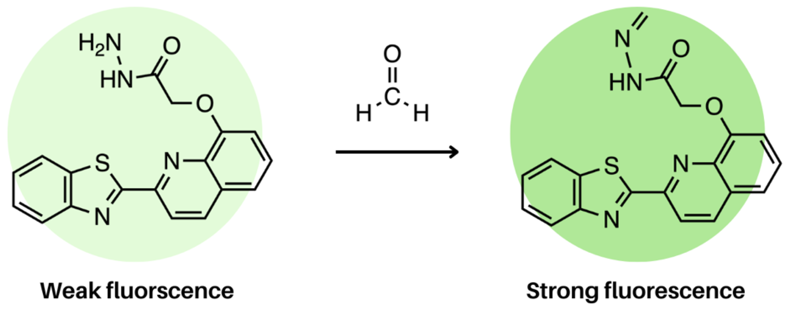 Molecules 28 04857 g026