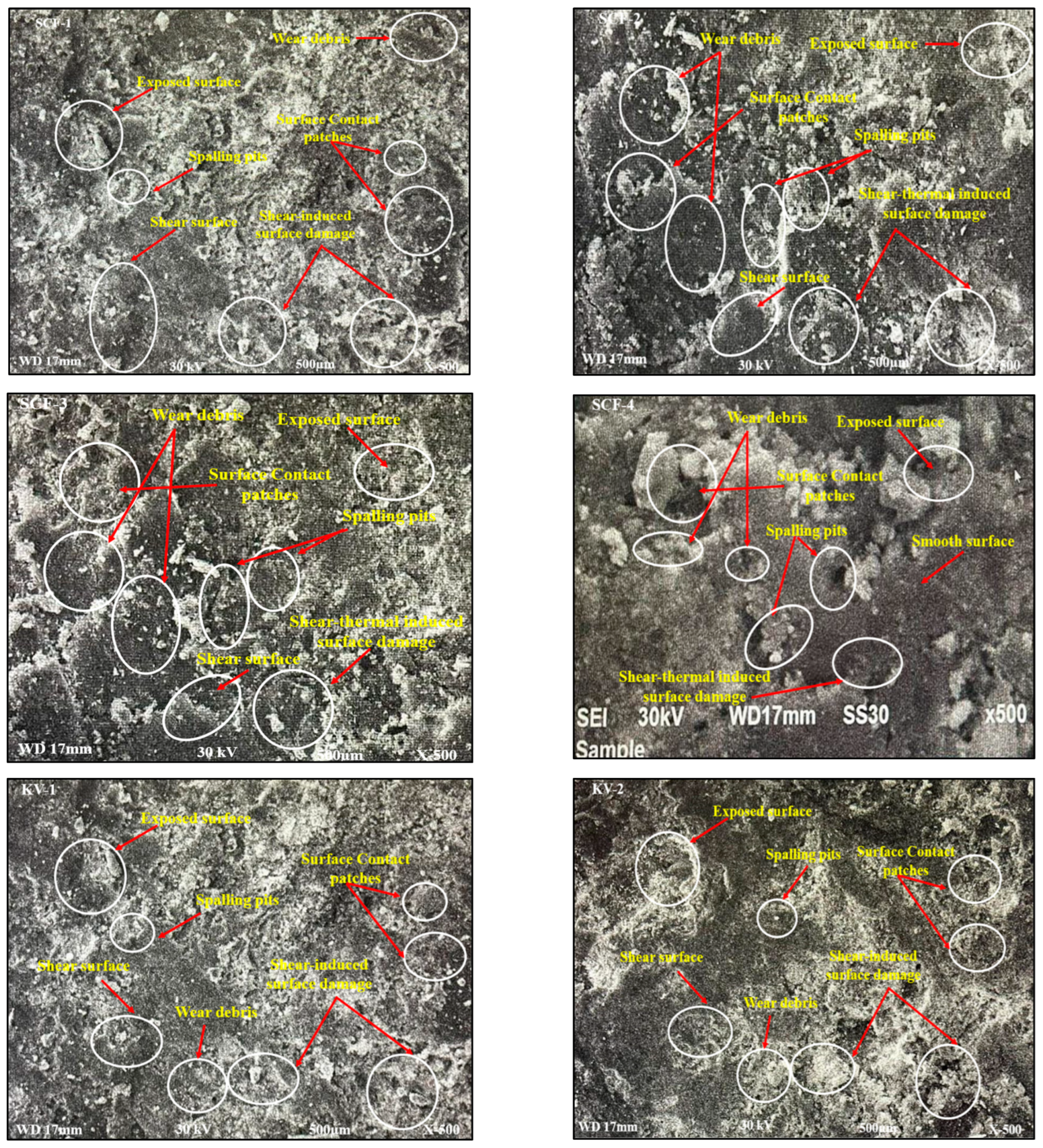 Molecules 28 04861 g007 Molecules 28 04861 g007