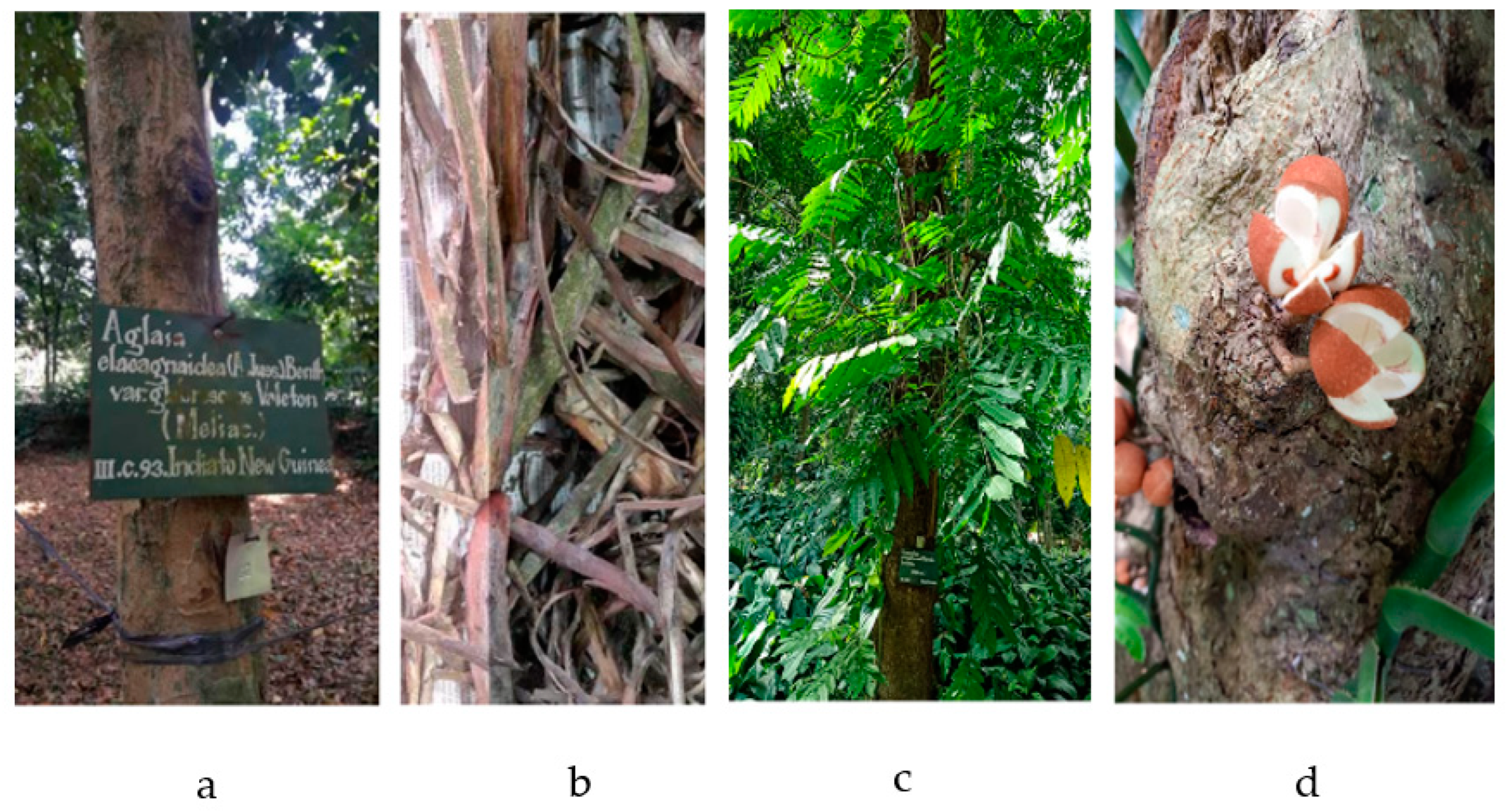 Molecules 28 04874 g001
