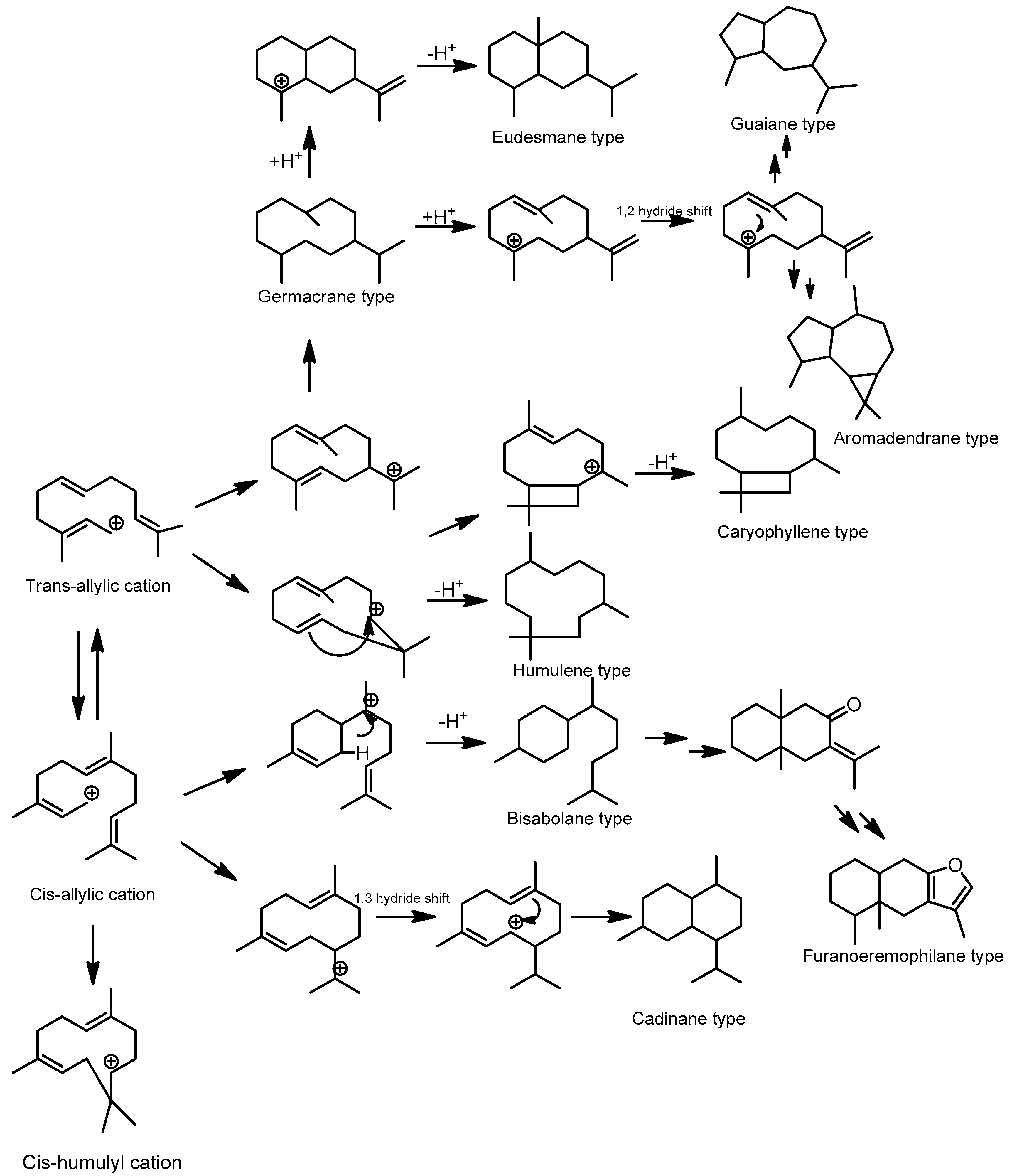 Molecules 28 04874 g003