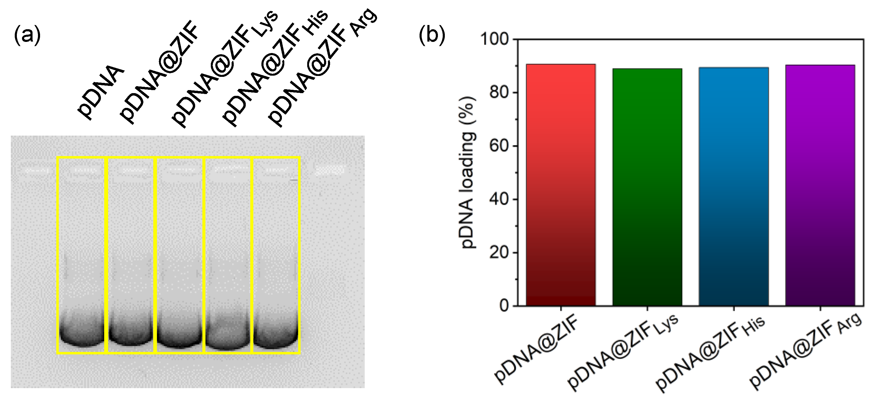 Molecules 28 04875 g003