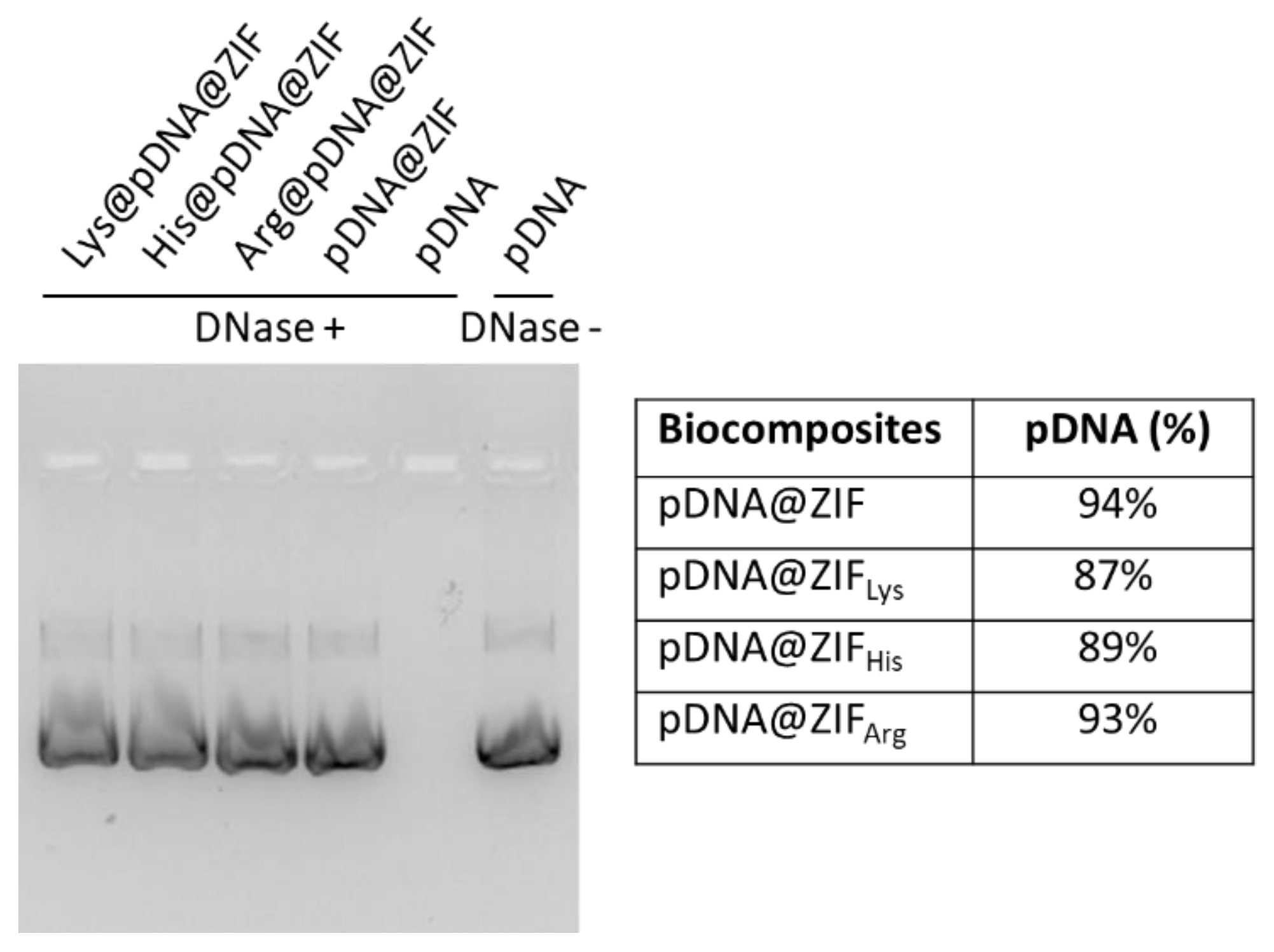 Molecules 28 04875 g004