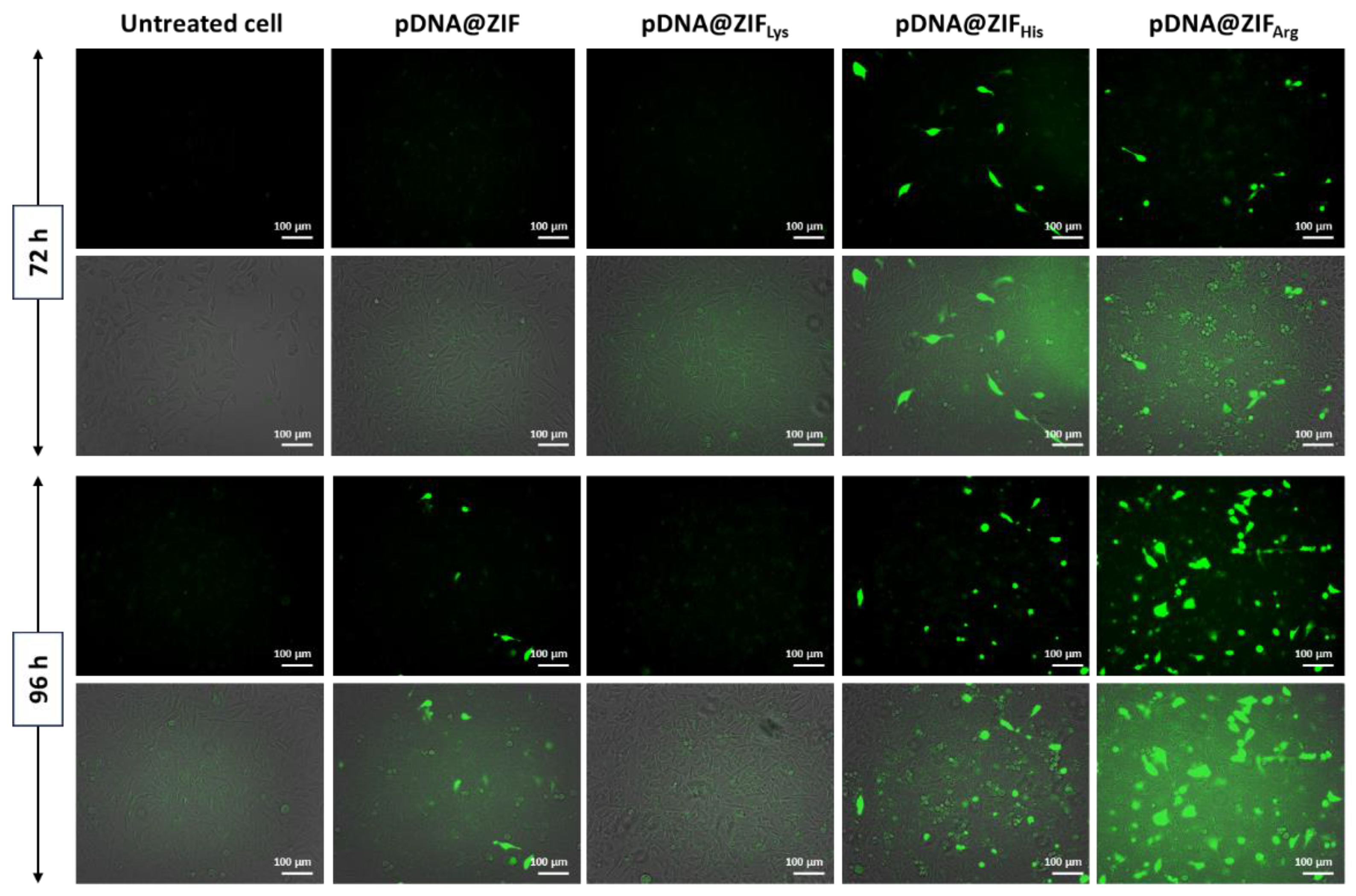 Molecules 28 04875 g007