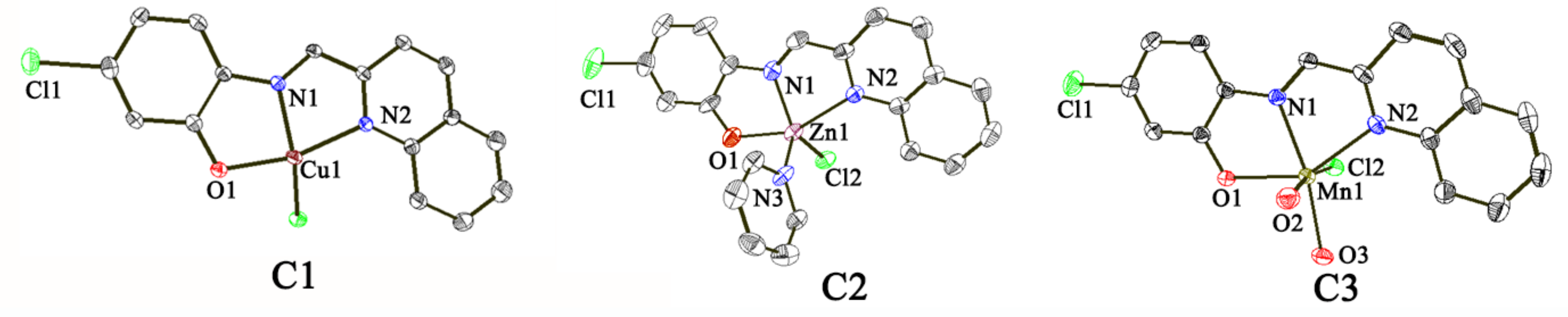 Molecules 28 04876 g001