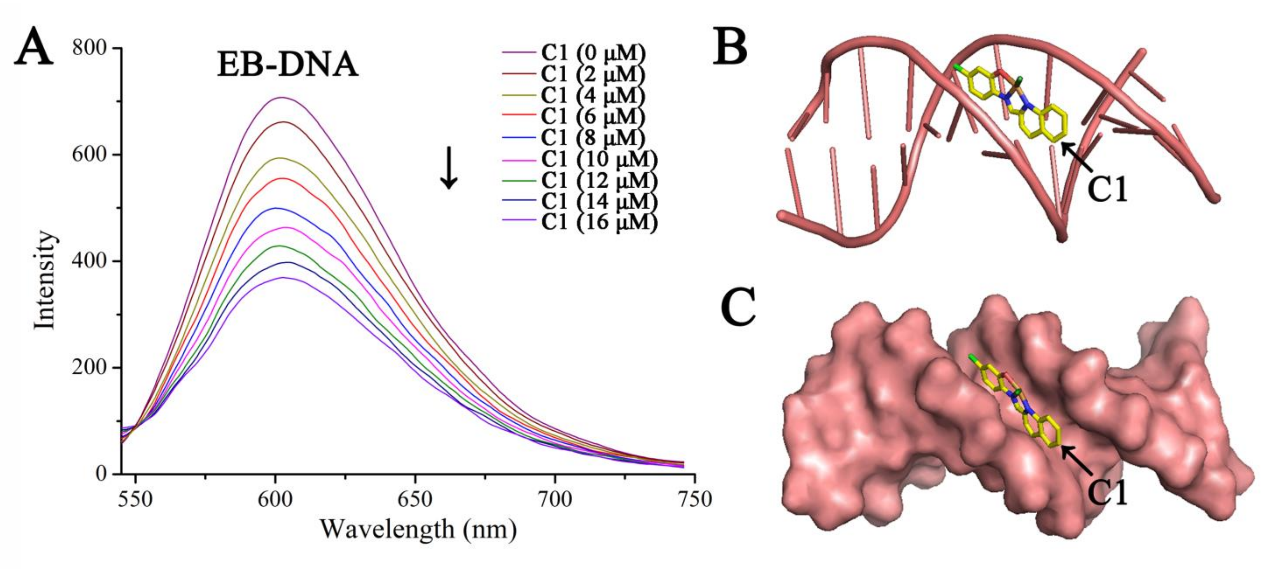 Molecules 28 04876 g004
