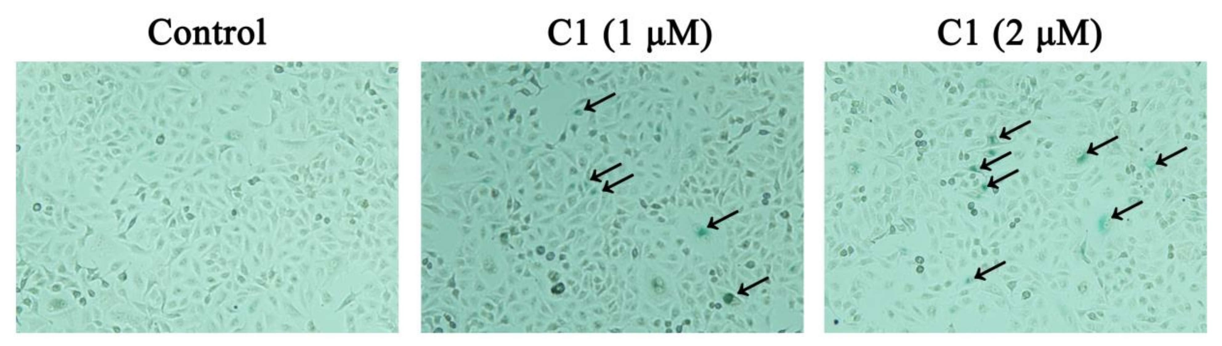 Molecules 28 04876 g006