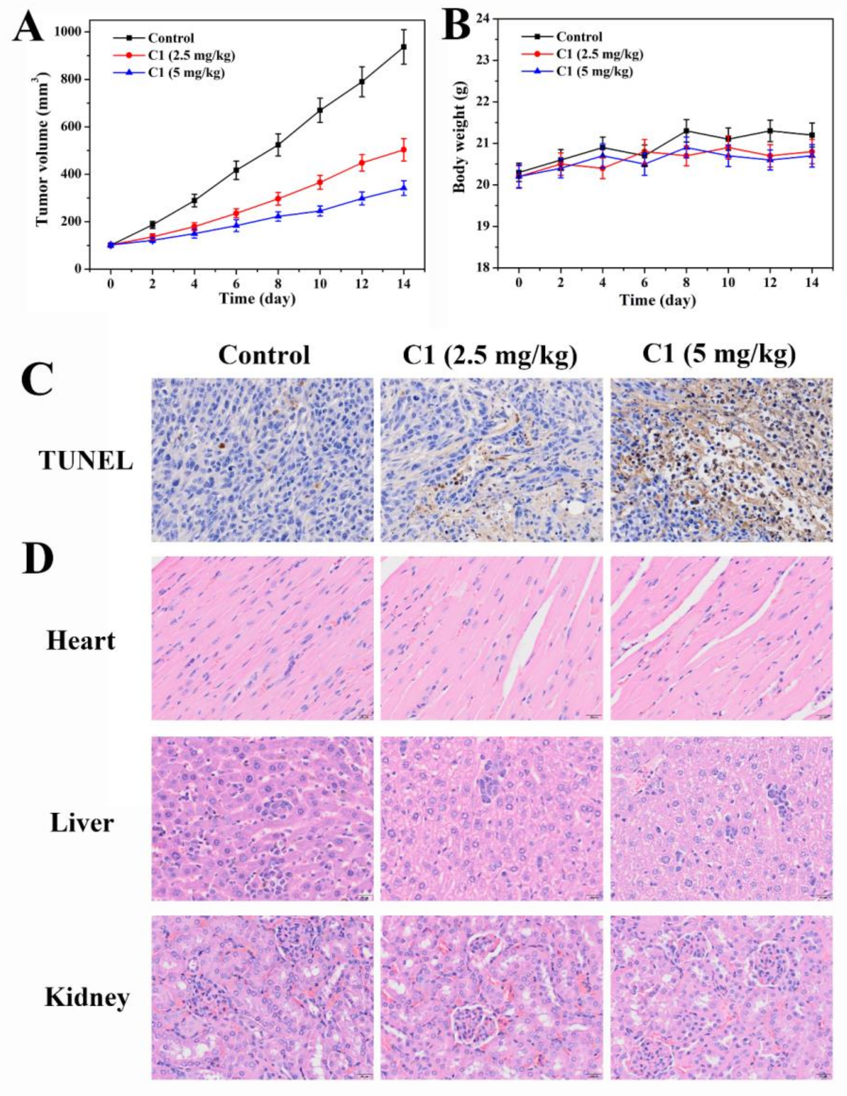 Molecules 28 04876 g008