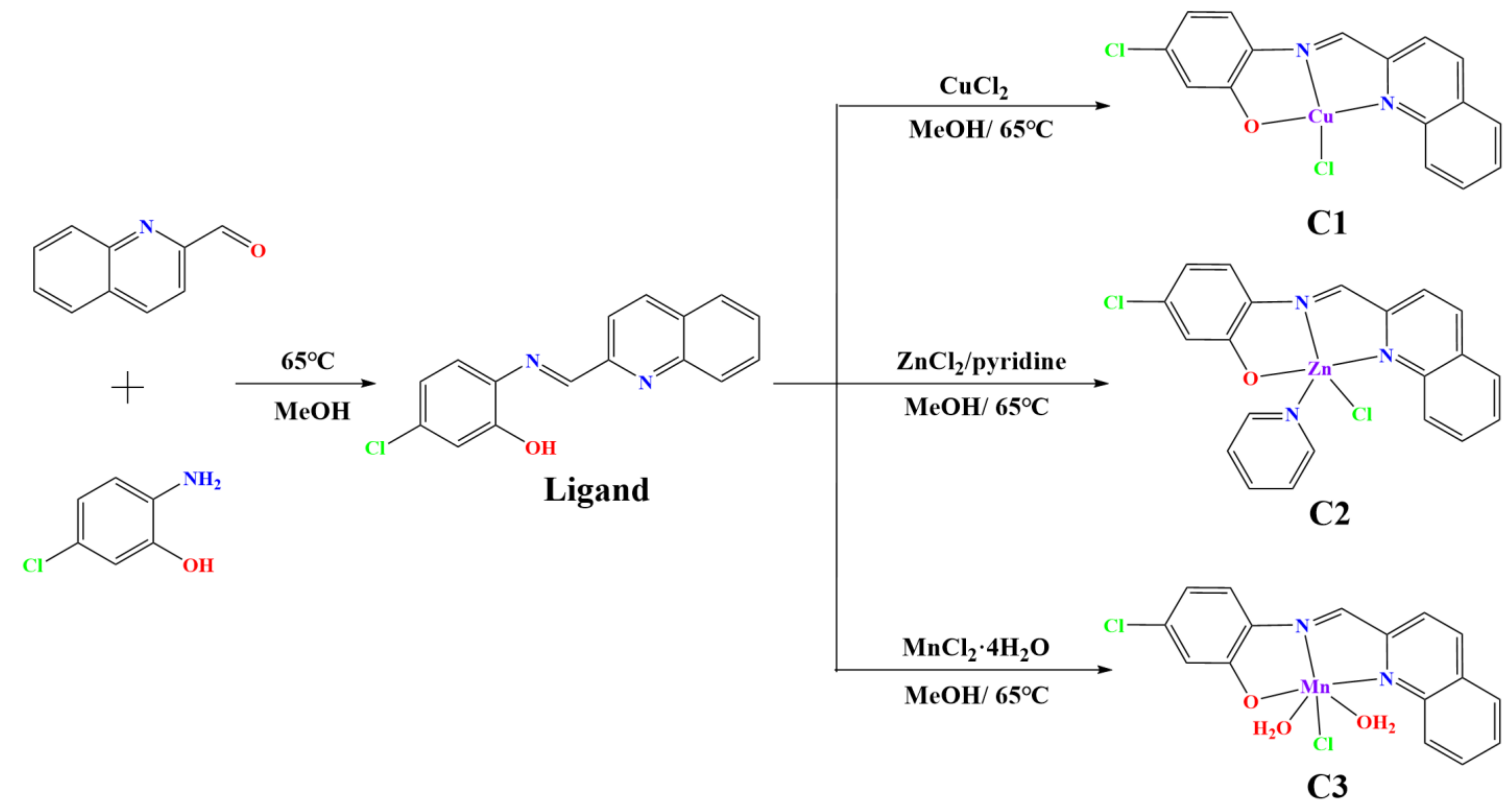 Molecules 28 04876 sch001