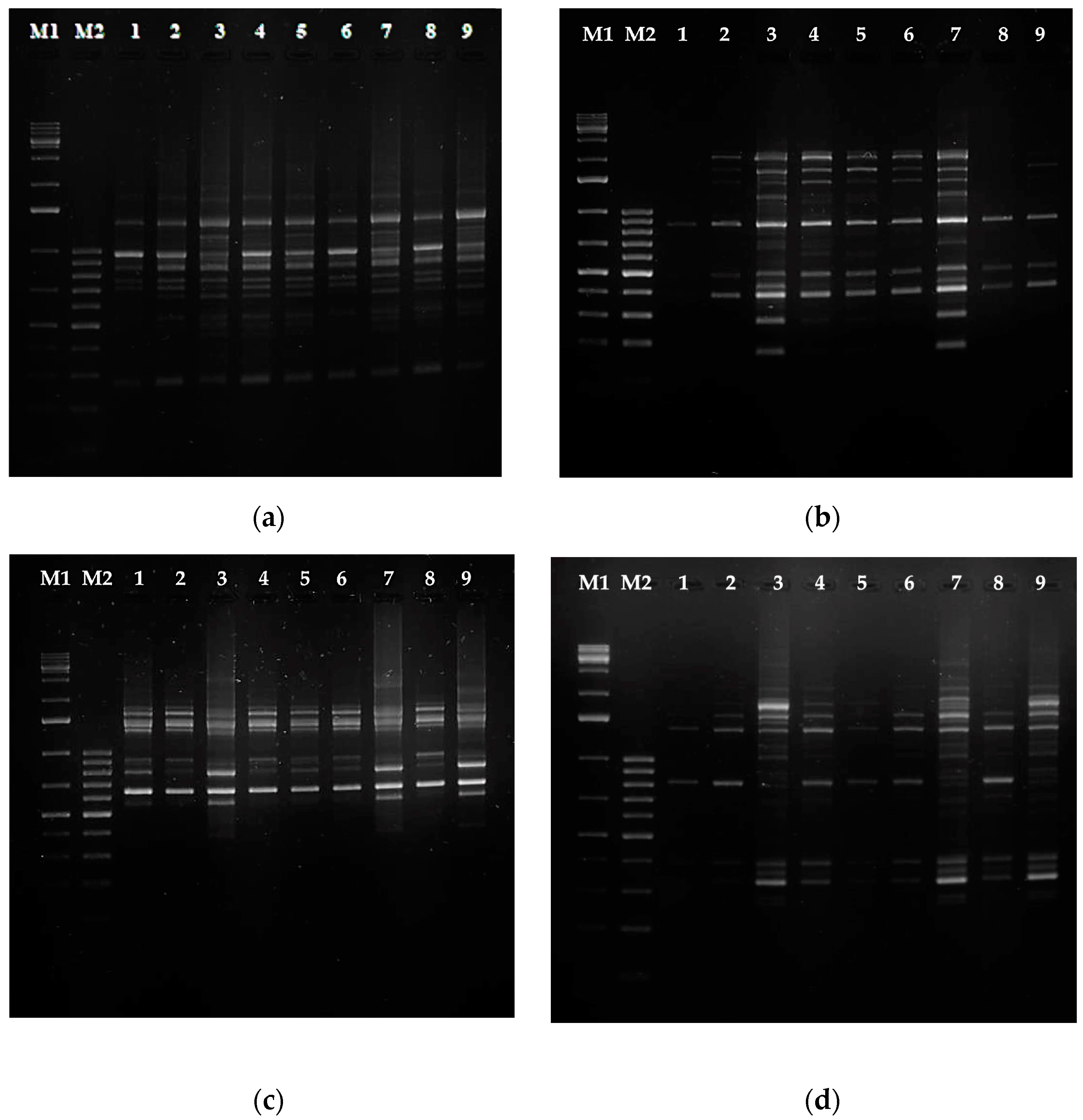 Molecules 28 04880 g009 Molecules 28 04880 g009