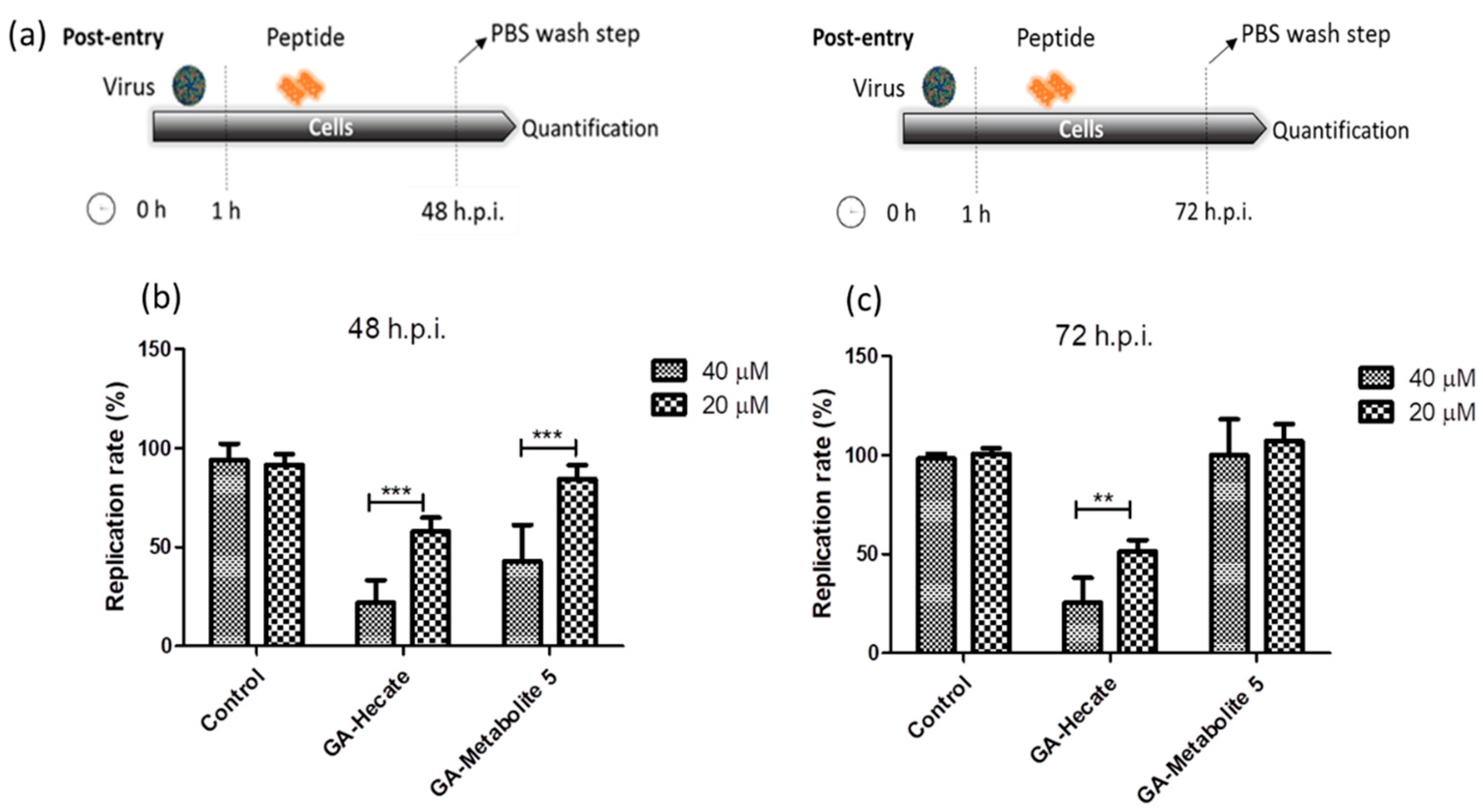 Molecules 28 04884 g004