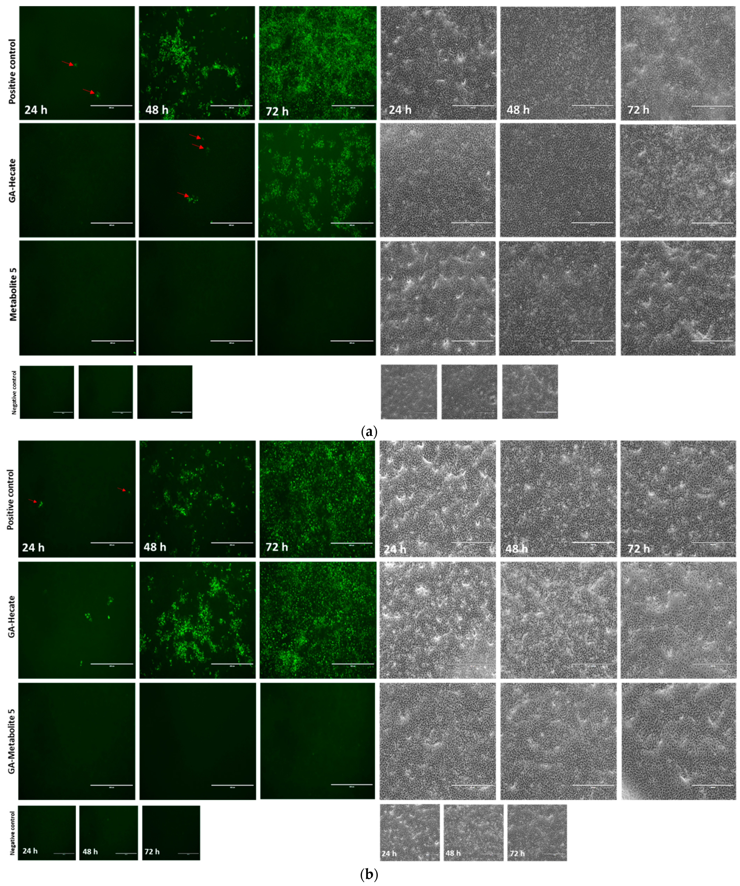 Molecules 28 04884 g006