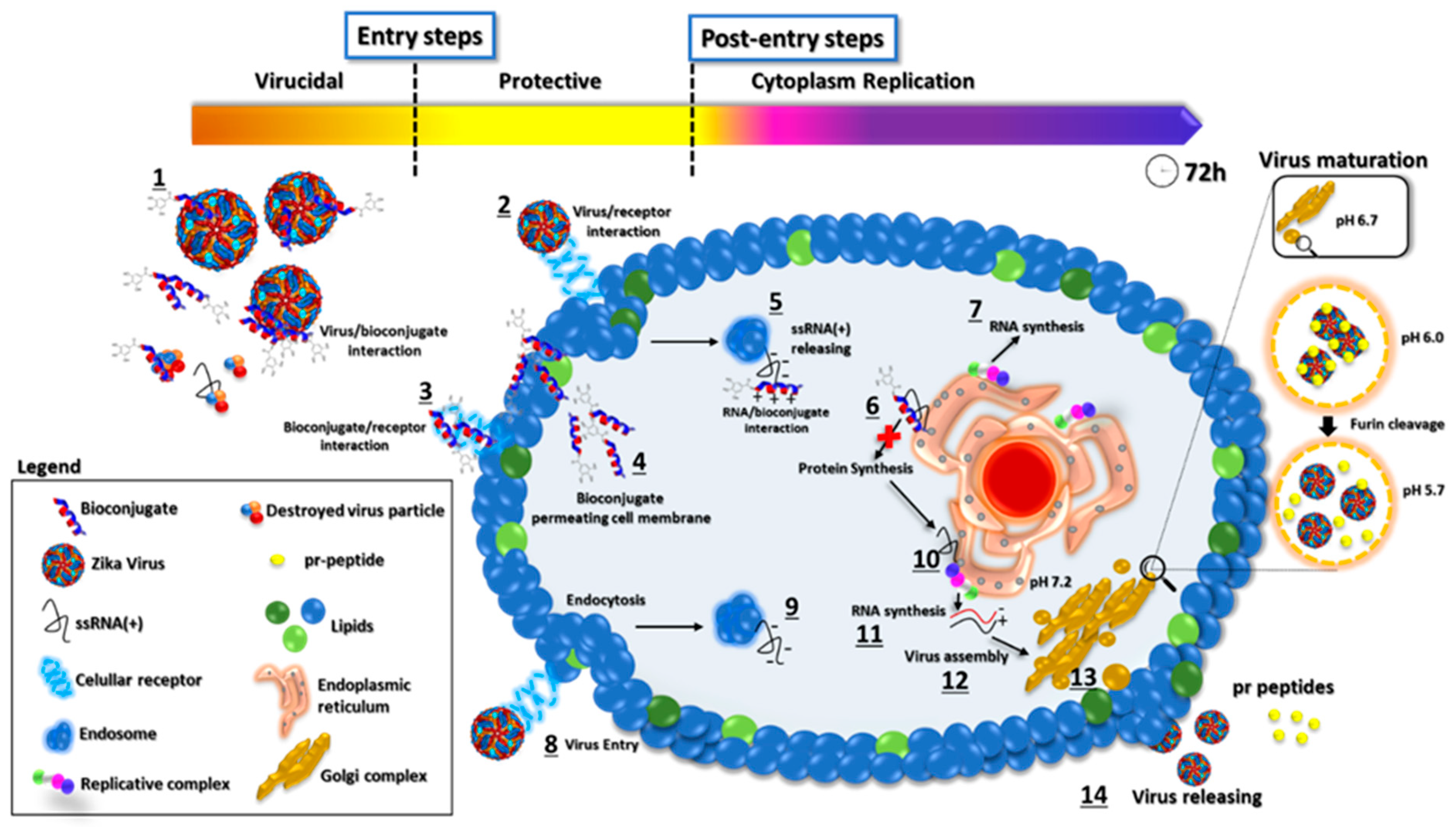 Molecules 28 04884 g010