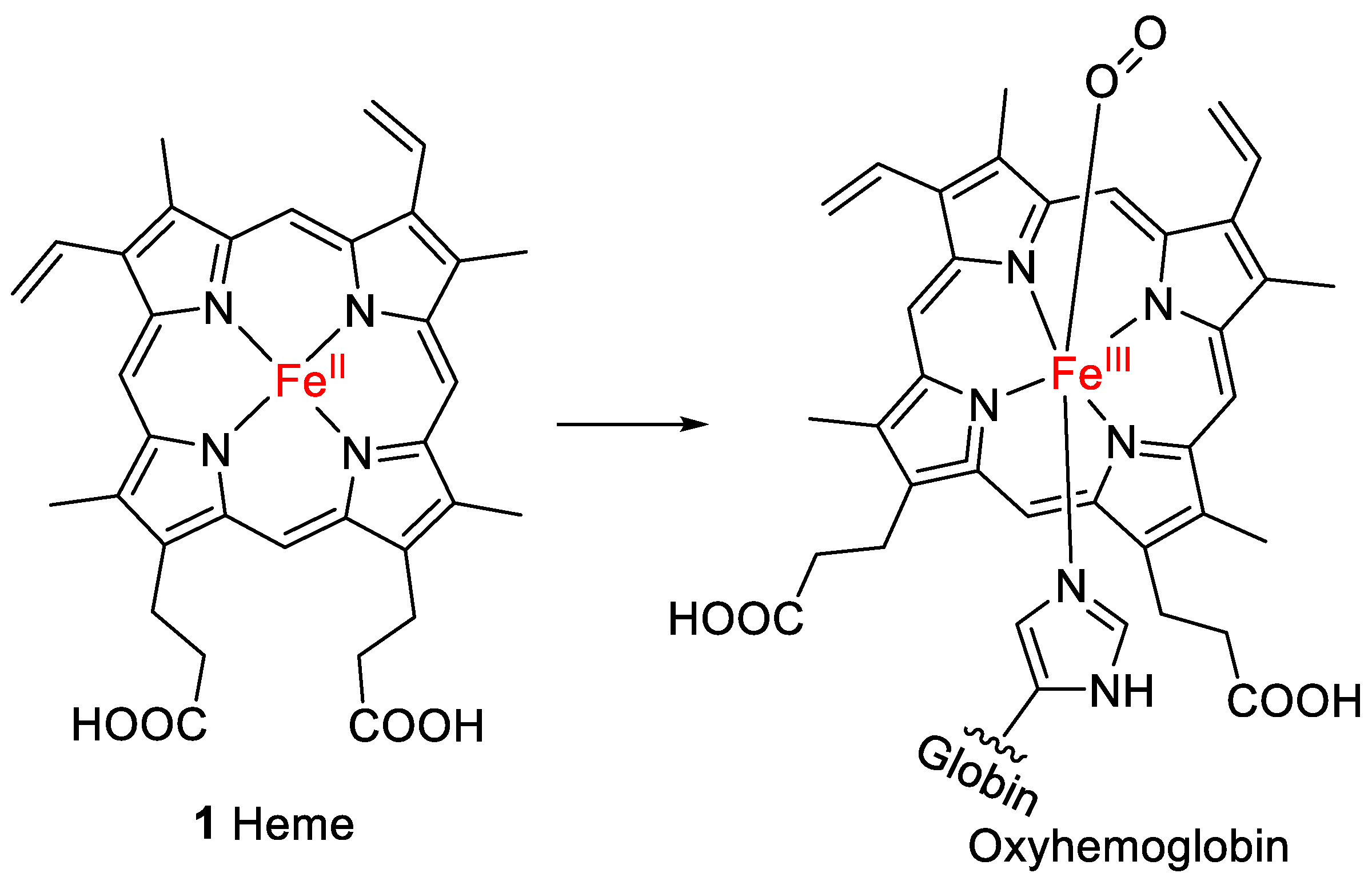 Molecules 28 04887 g001 Molecules 28 04887 g001