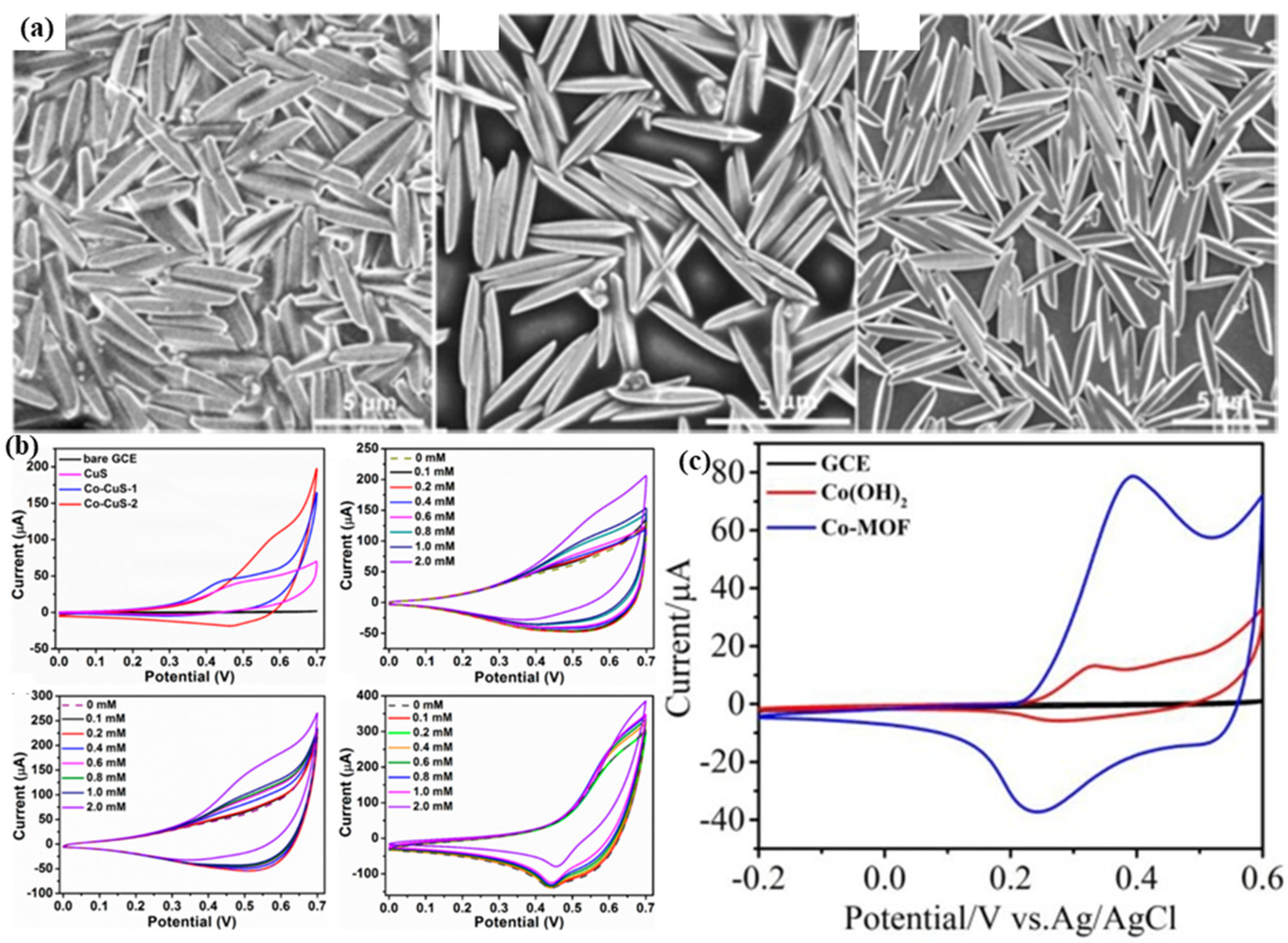 Molecules 28 04891 g001 Molecules 28 04891 g001