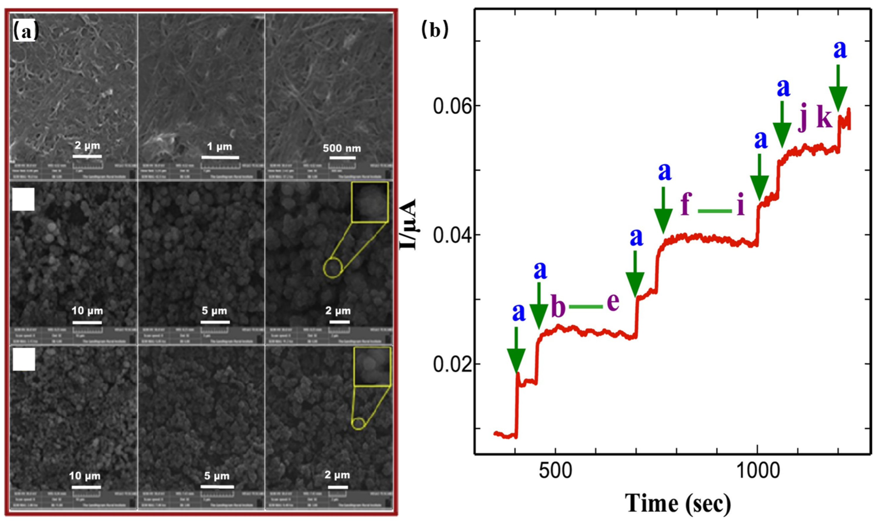 Molecules 28 04891 g005 Molecules 28 04891 g005