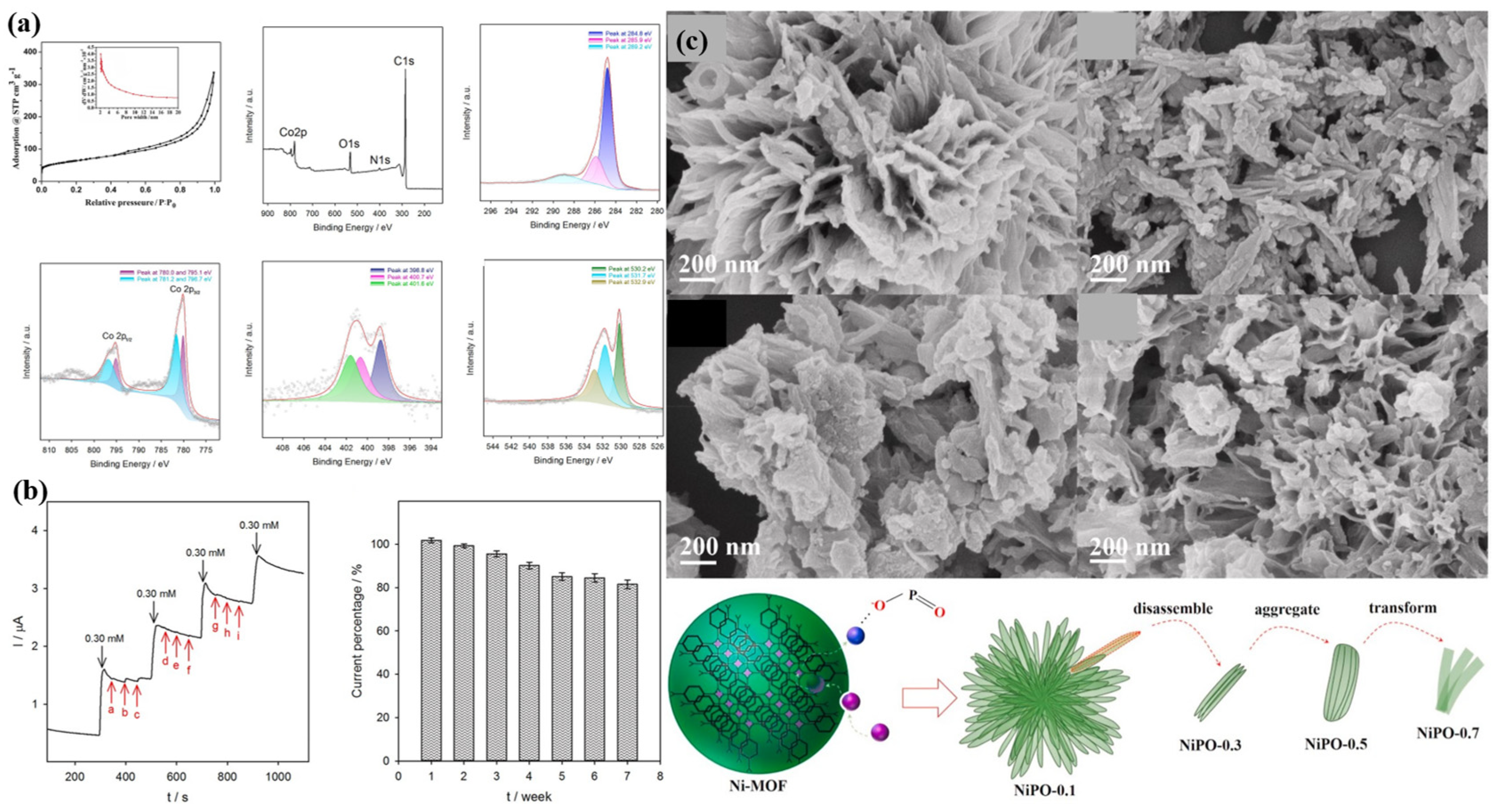 Molecules 28 04891 g007 Molecules 28 04891 g007