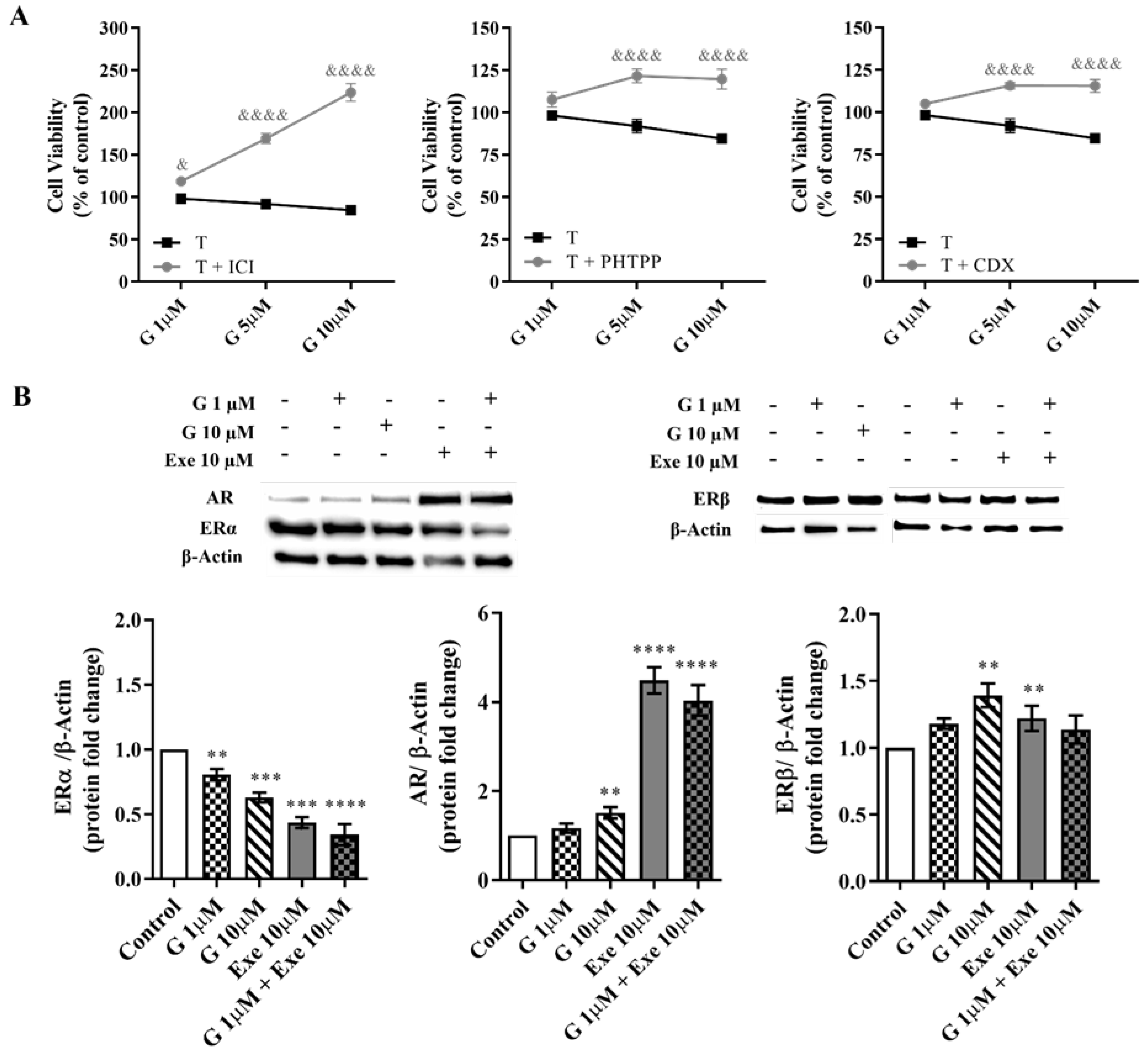 Molecules 28 04893 g005