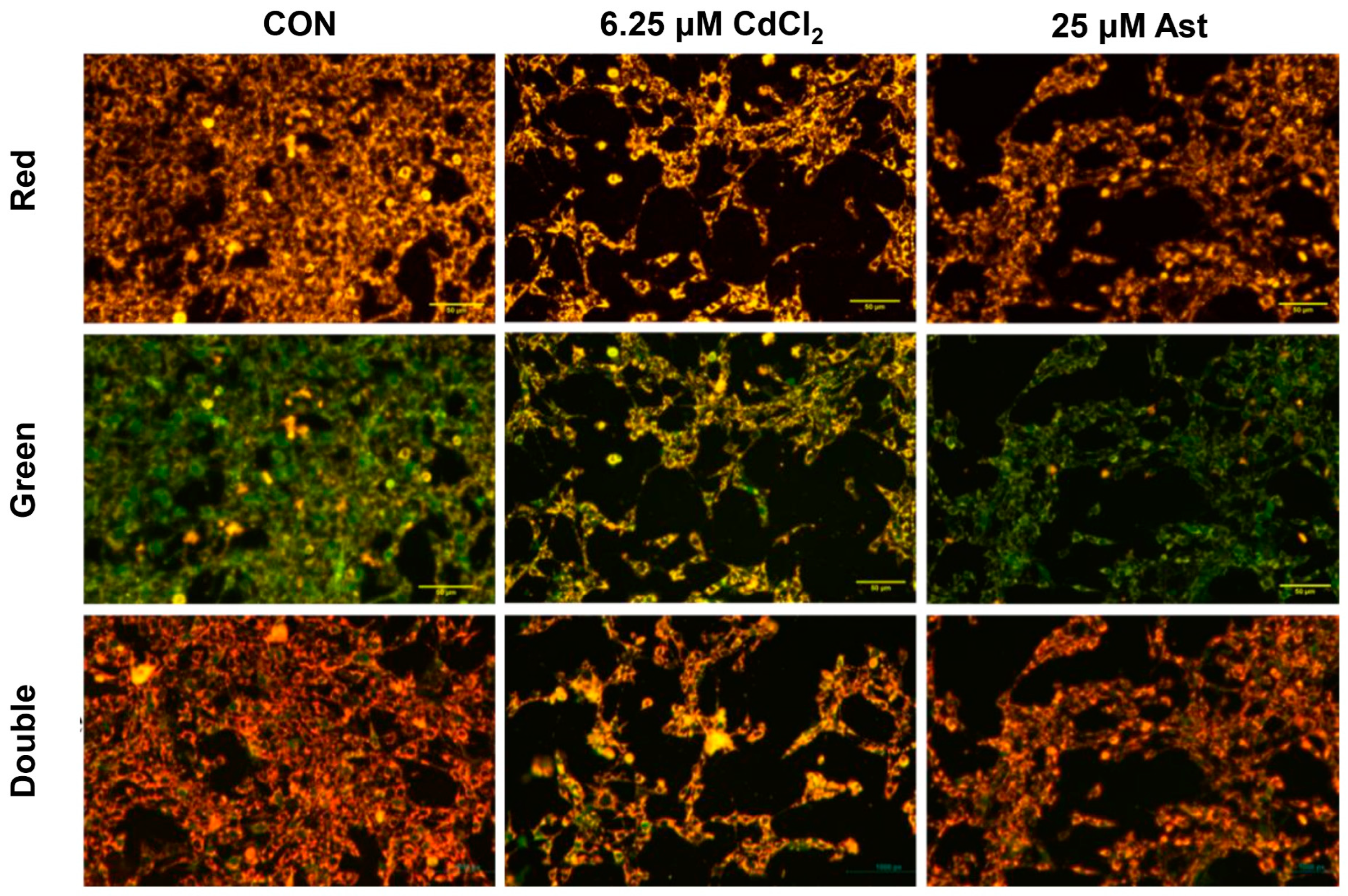 Molecules 28 04897 g003 Molecules 28 04897 g003