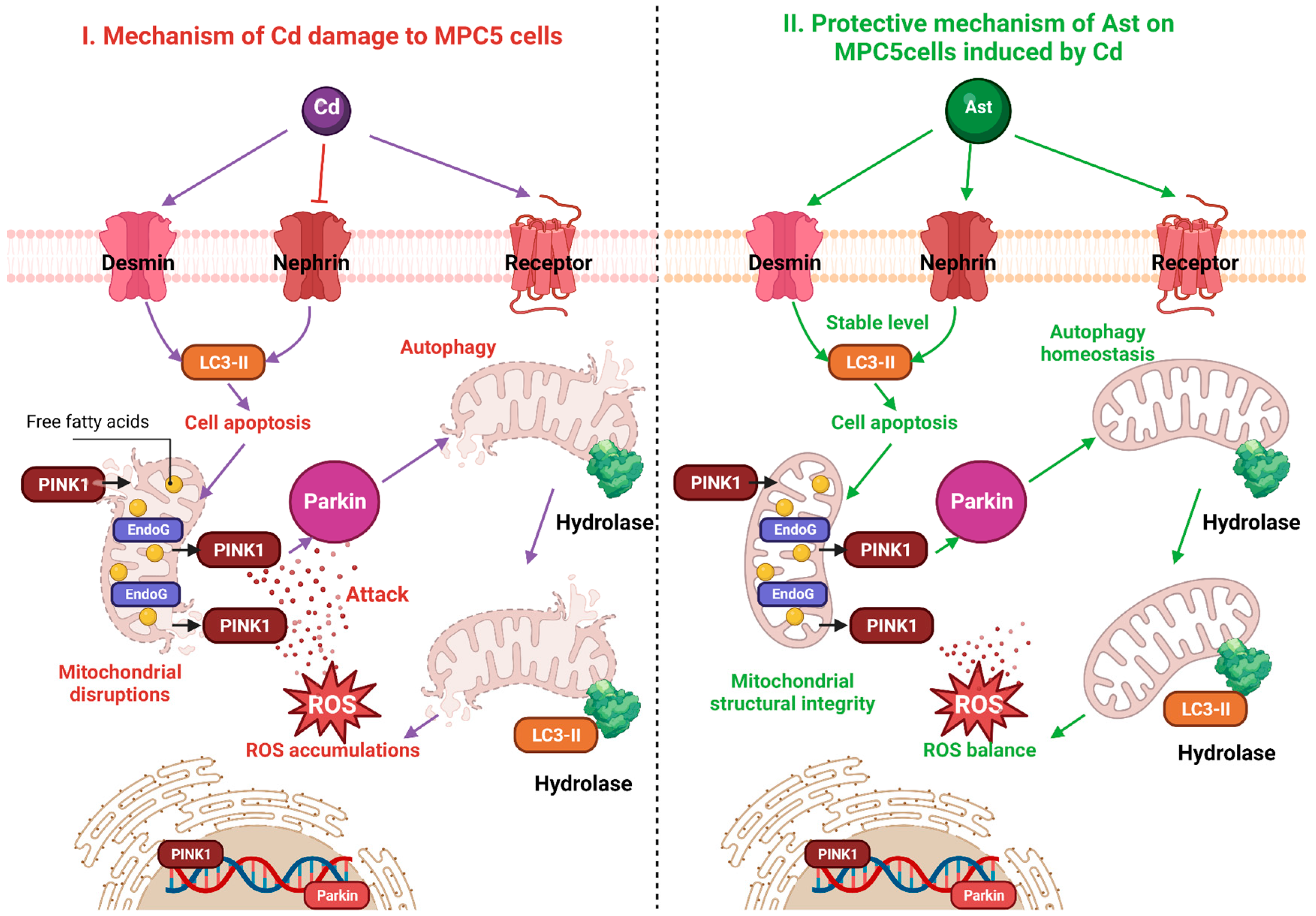 Molecules 28 04897 g005 Molecules 28 04897 g005