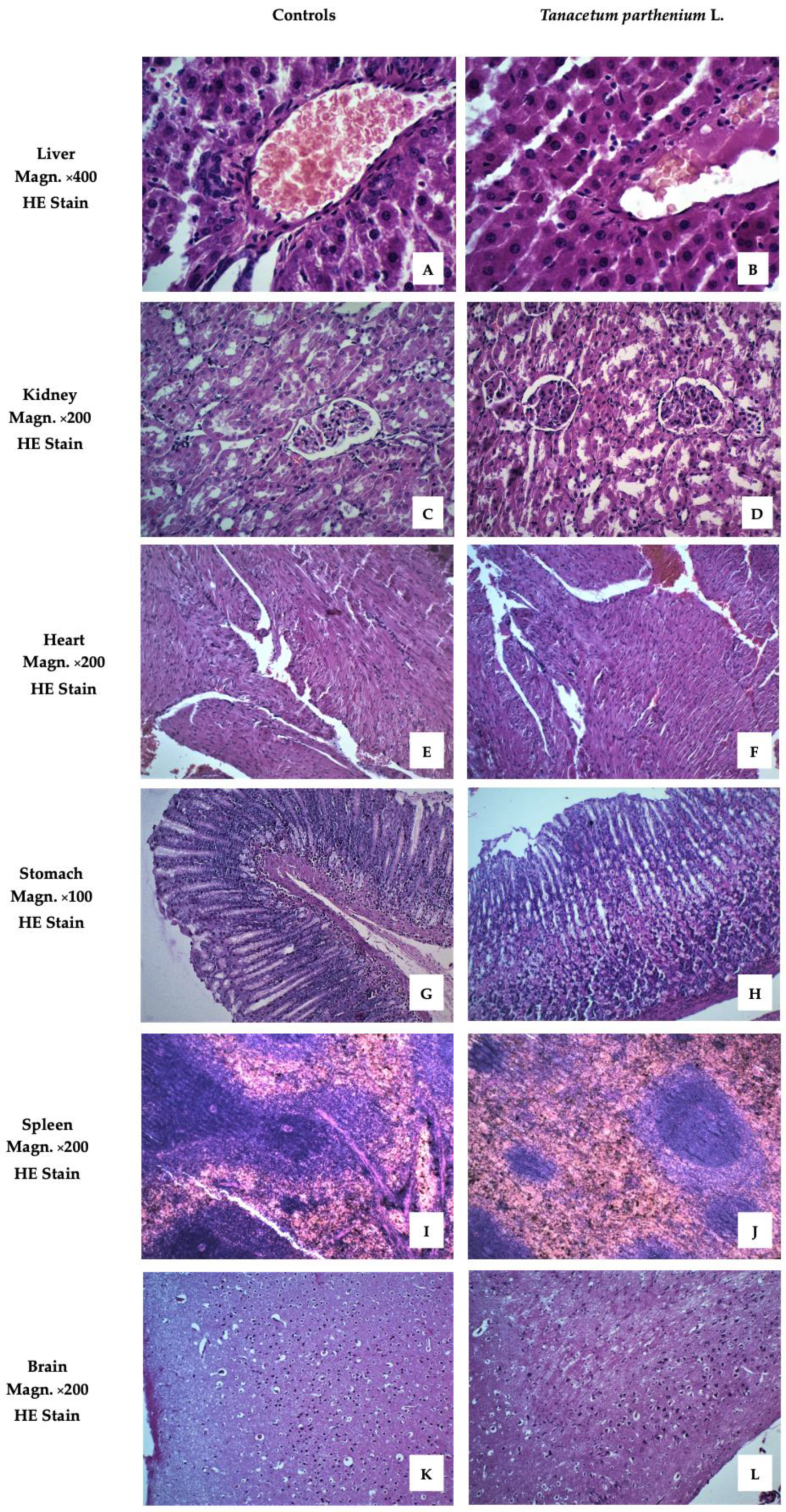 Molecules 28 04906 g002