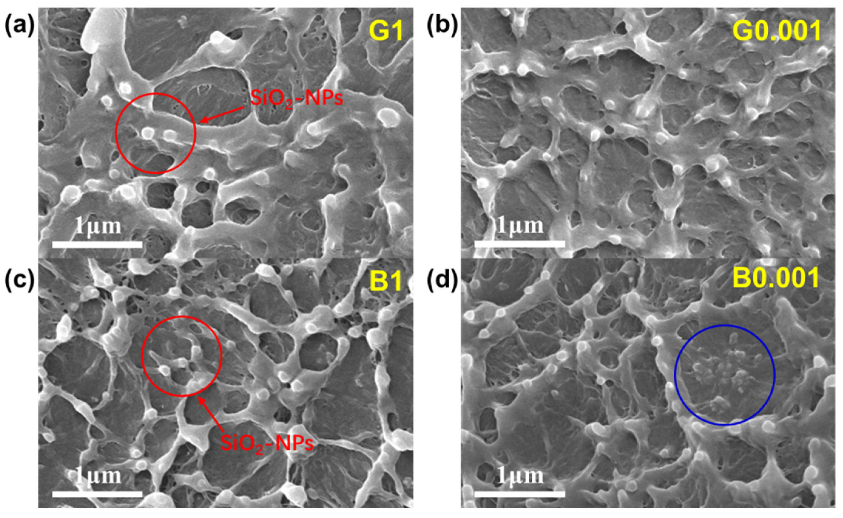 Molecules 28 04908 g005
