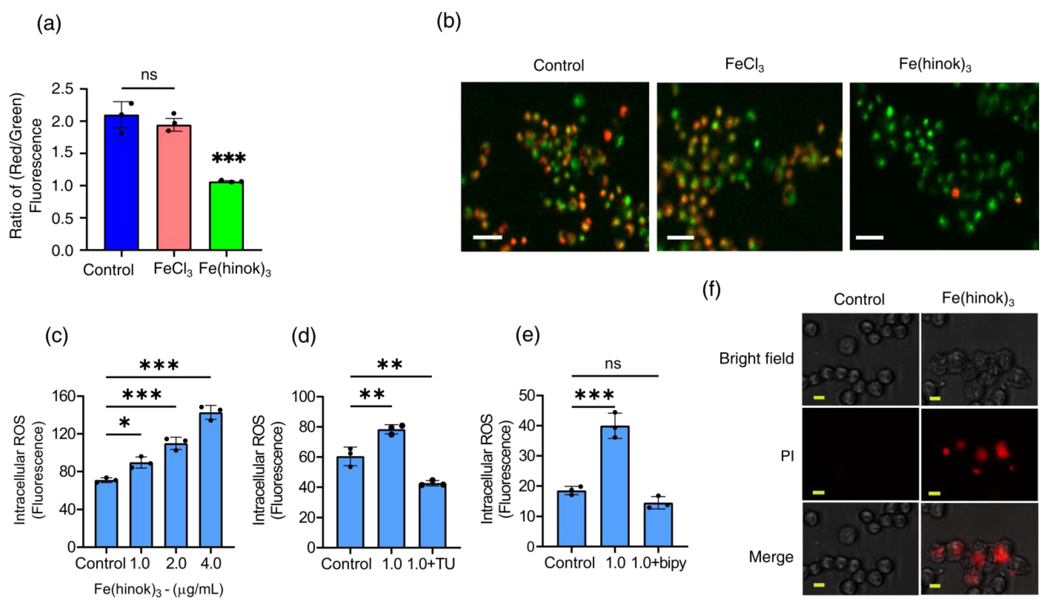 Molecules 28 04917 g004