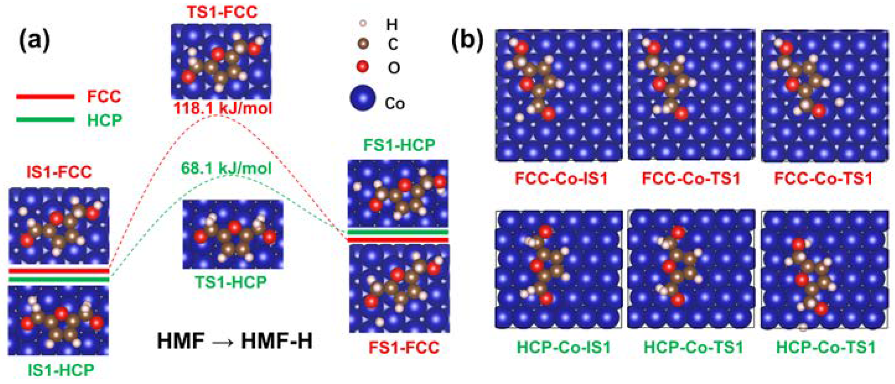 Molecules 28 04918 g005