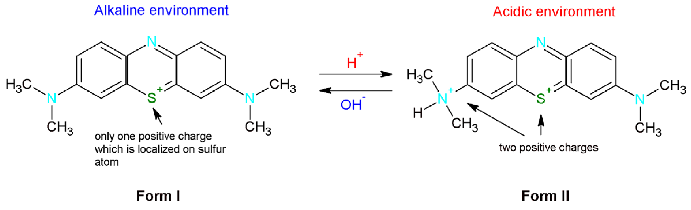 Molecules 28 04922 g006