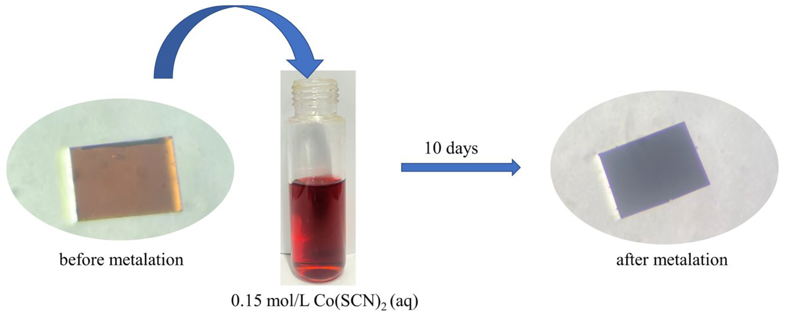 Molecules 28 04923 g002 Molecules 28 04923 g002