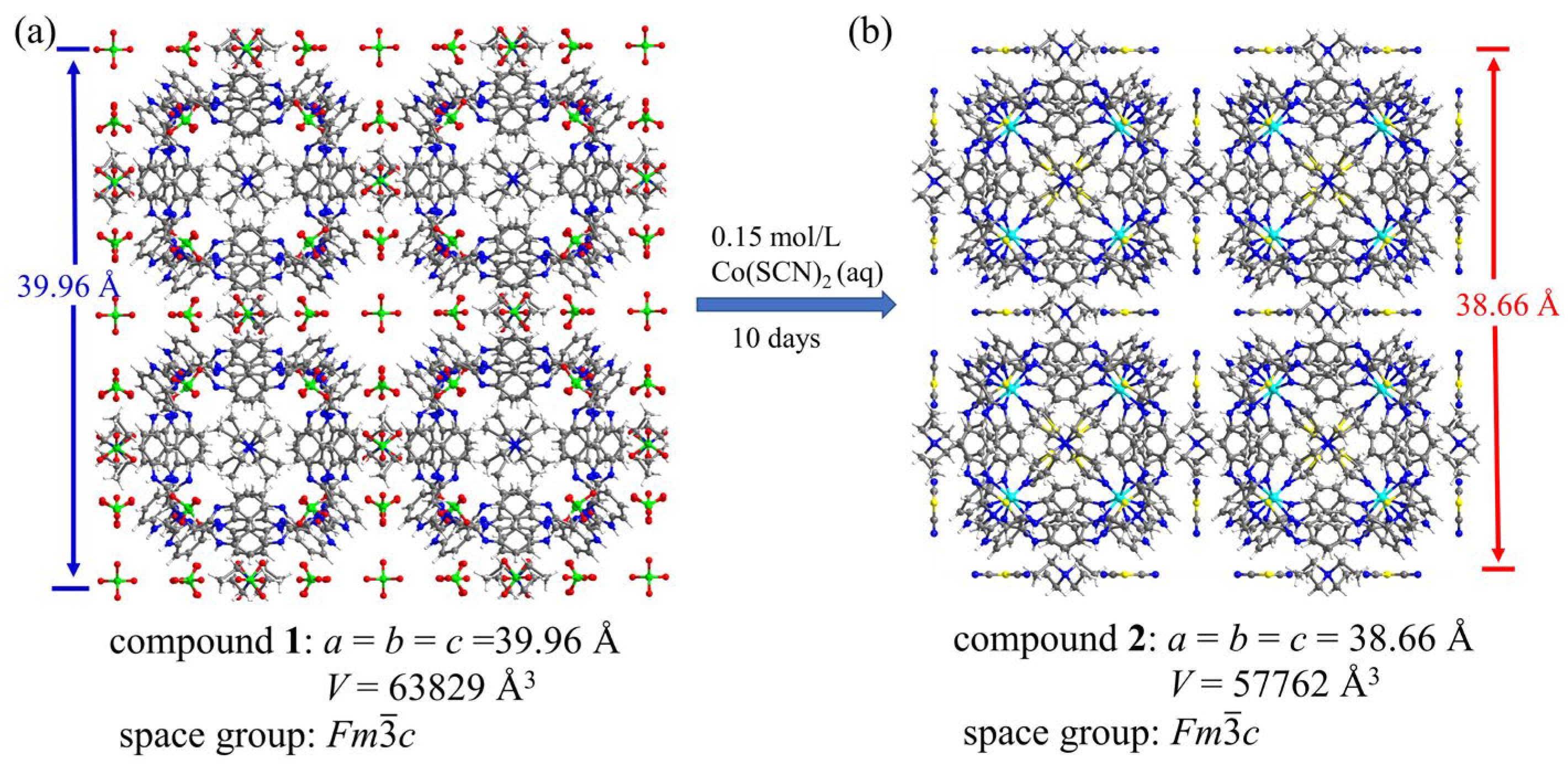 Molecules 28 04923 g004 Molecules 28 04923 g004