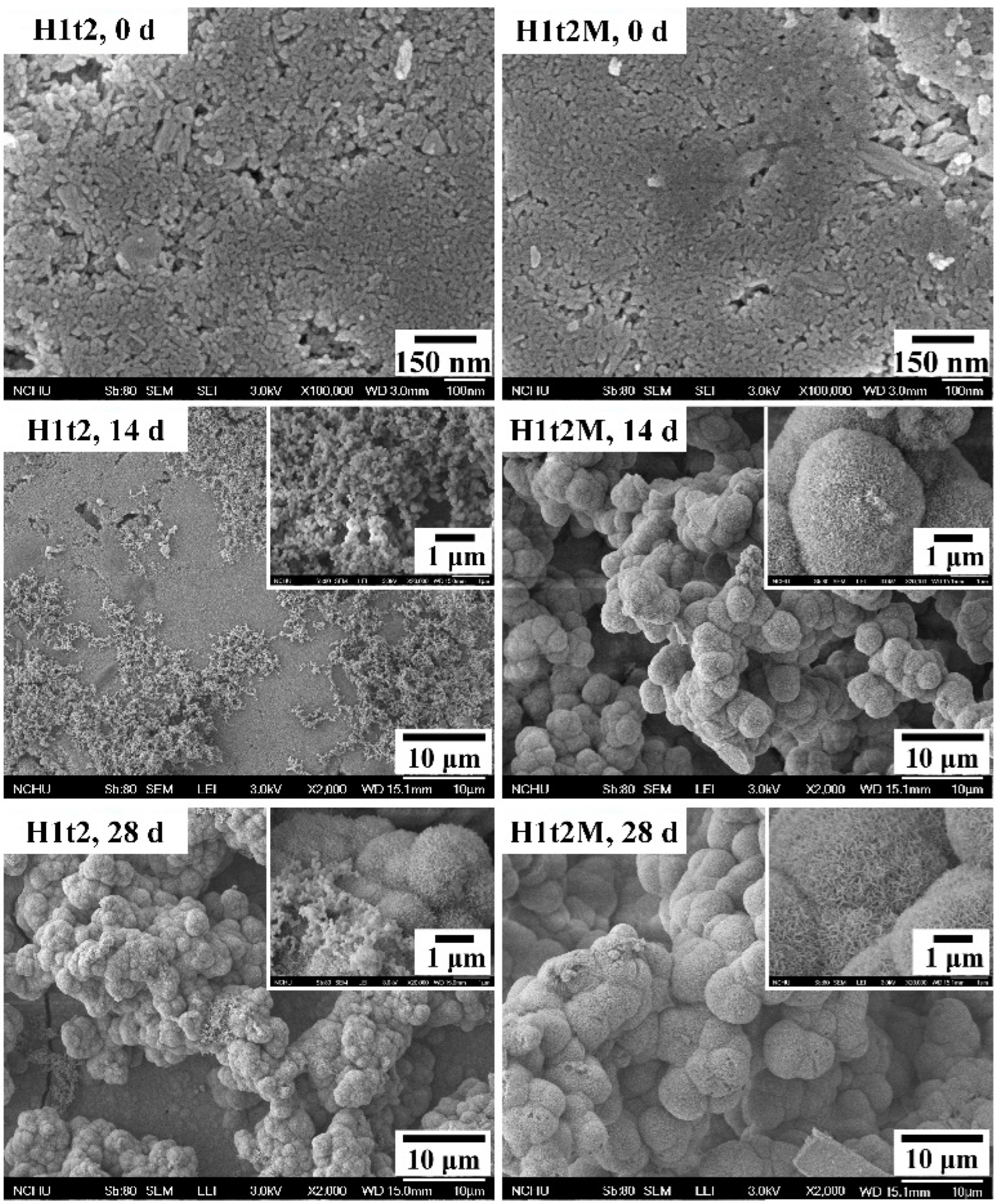 Molecules 28 04926 g005