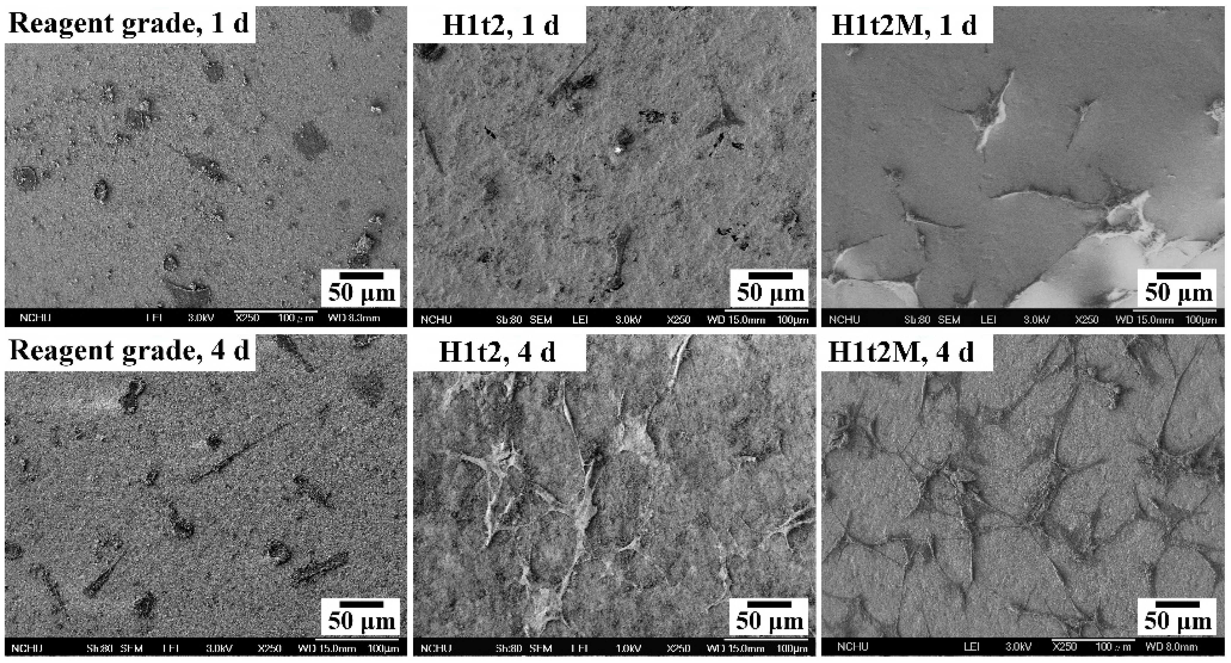 Molecules 28 04926 g006
