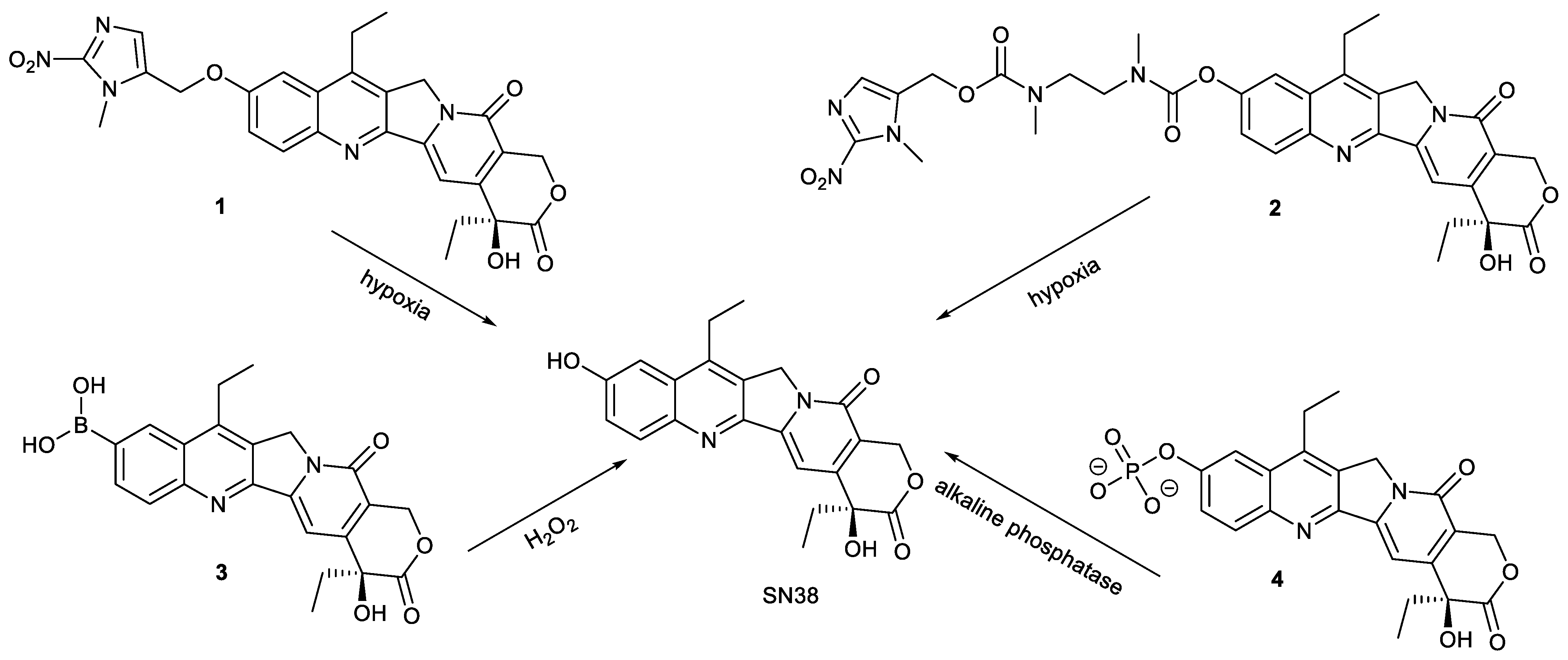 Molecules 28 04931 g003