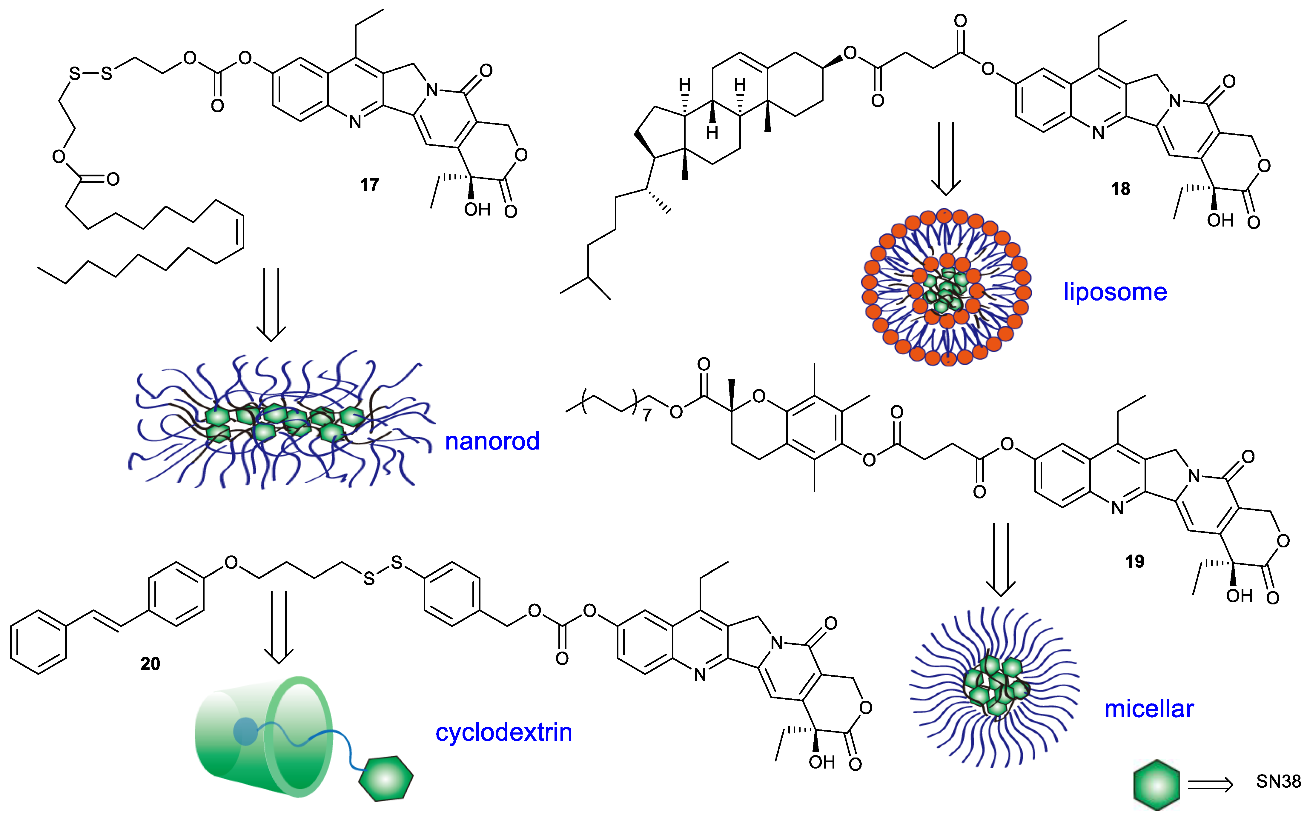Molecules 28 04931 g007