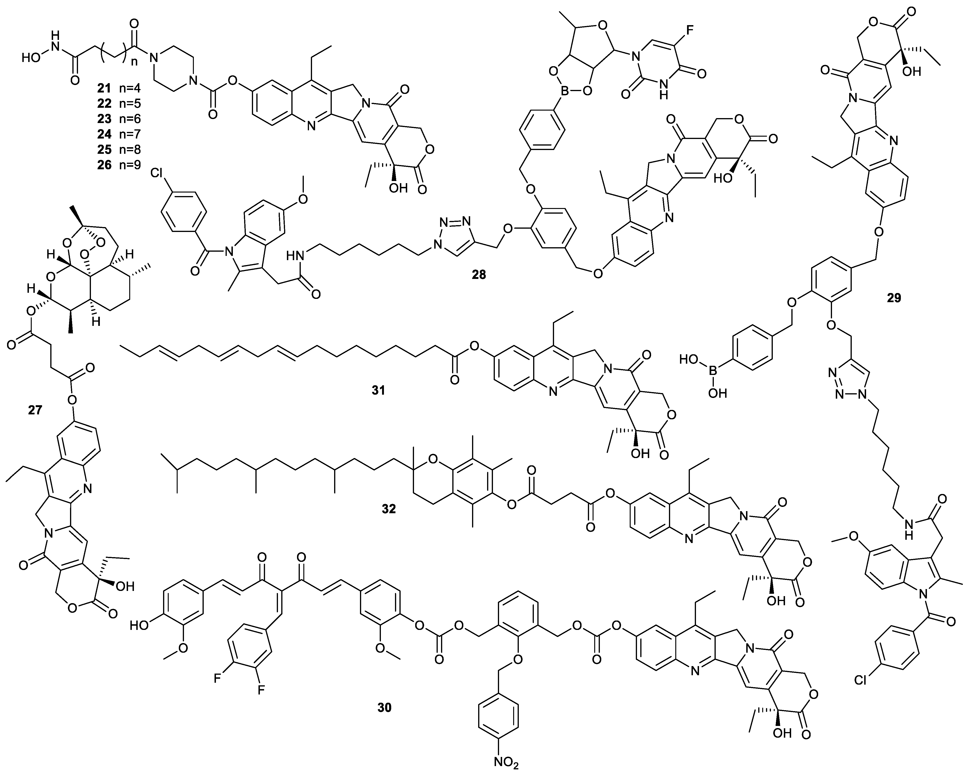 Molecules 28 04931 g008