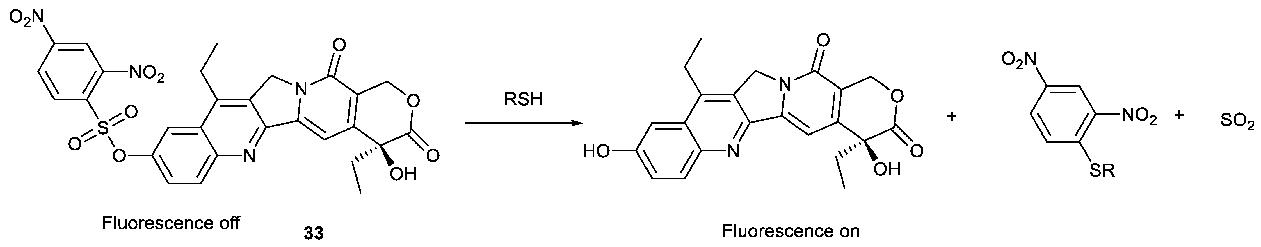 Molecules 28 04931 g009