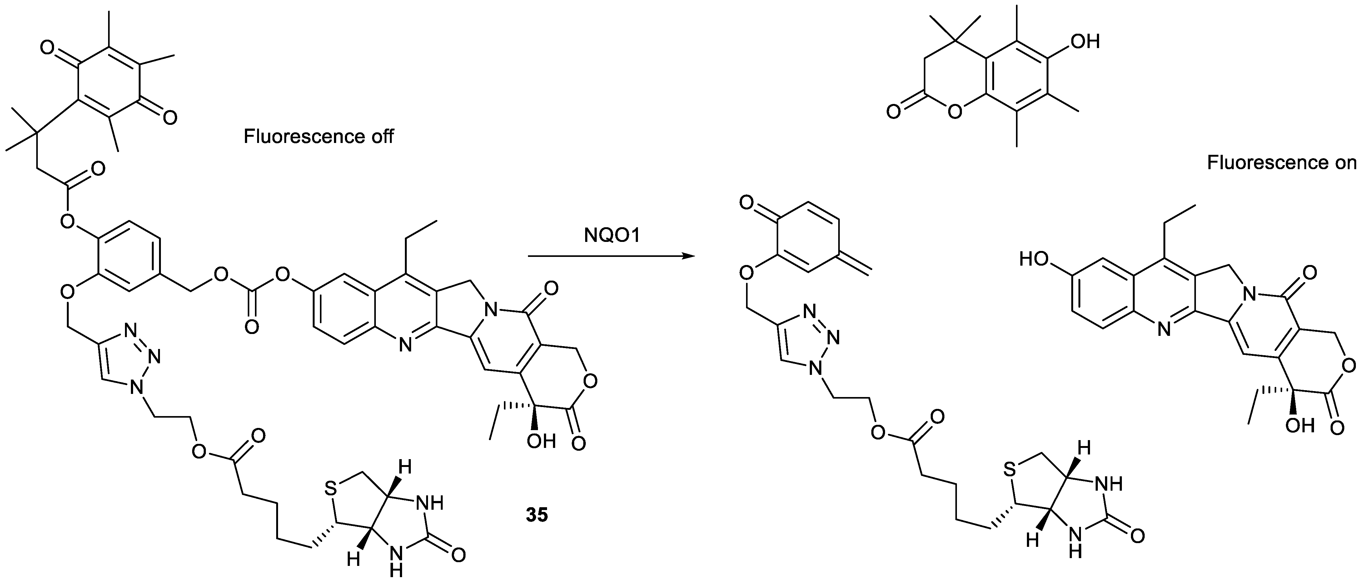 Molecules 28 04931 g011