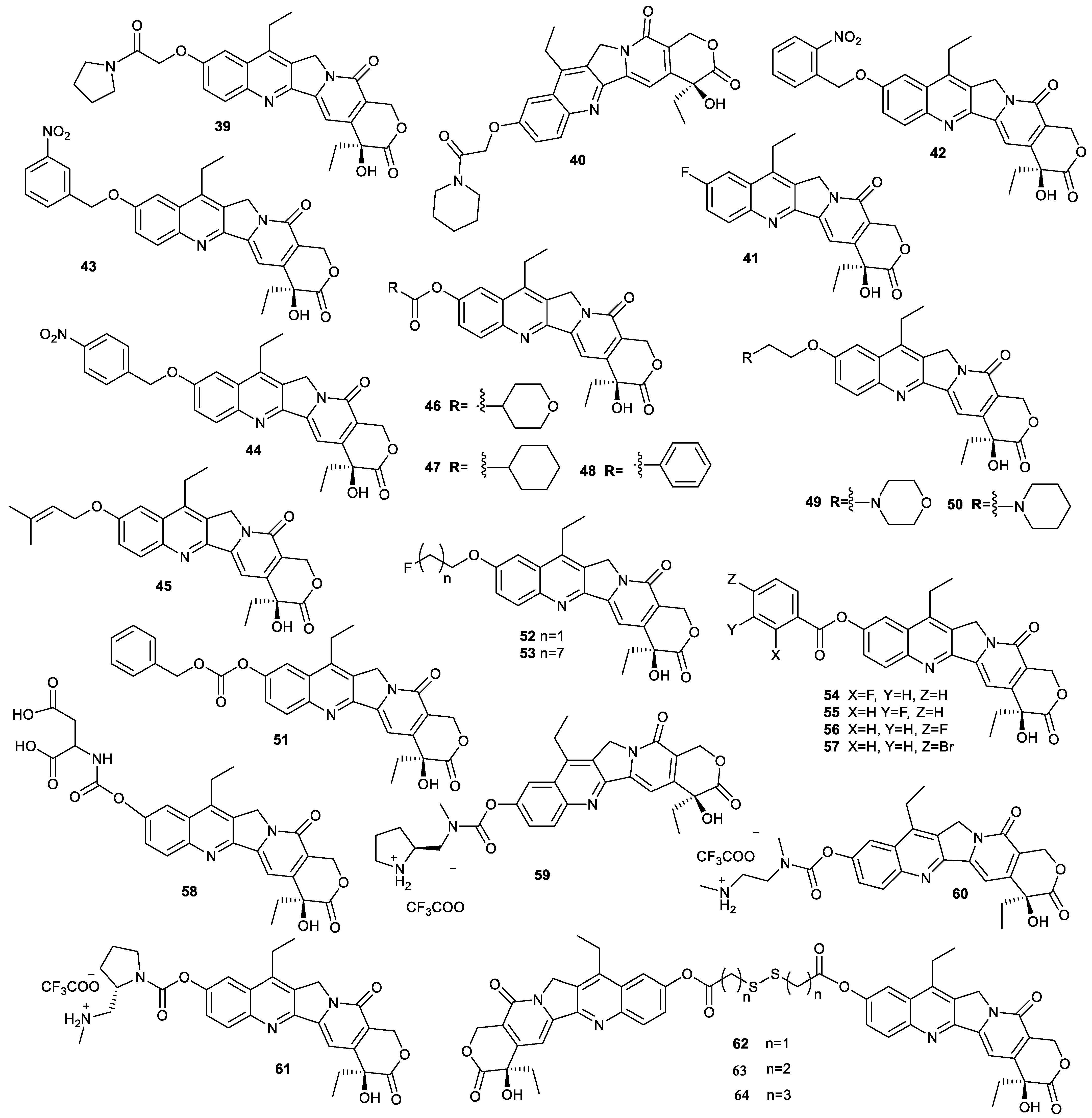Molecules 28 04931 g013